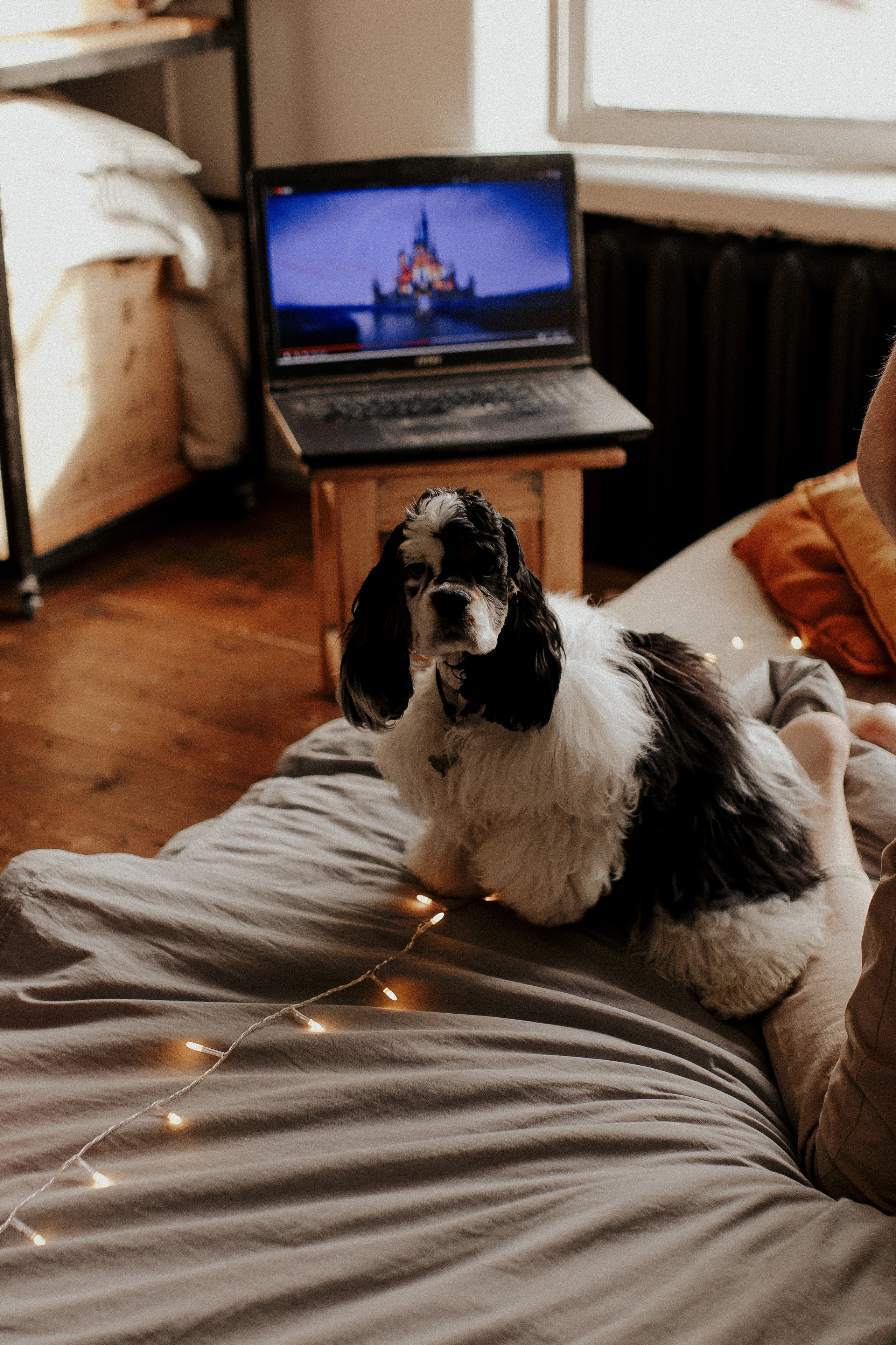 Романтичный вечер для пары. Фотограф в Санкт-Петербурге Лиза Семченкова