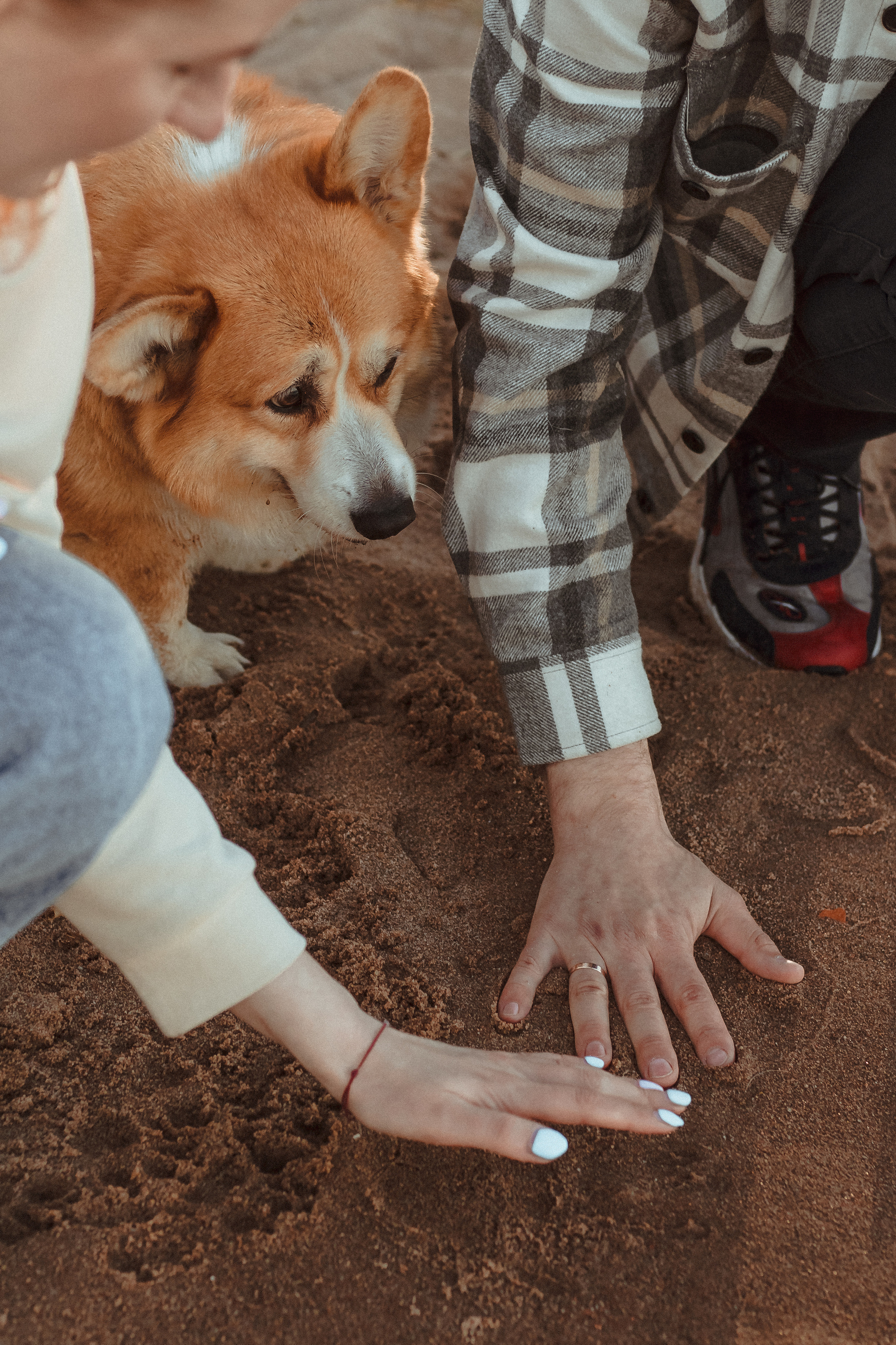 История любви на закате Спб. Фотограф в Санкт-Петербурге Лиза Семченкова