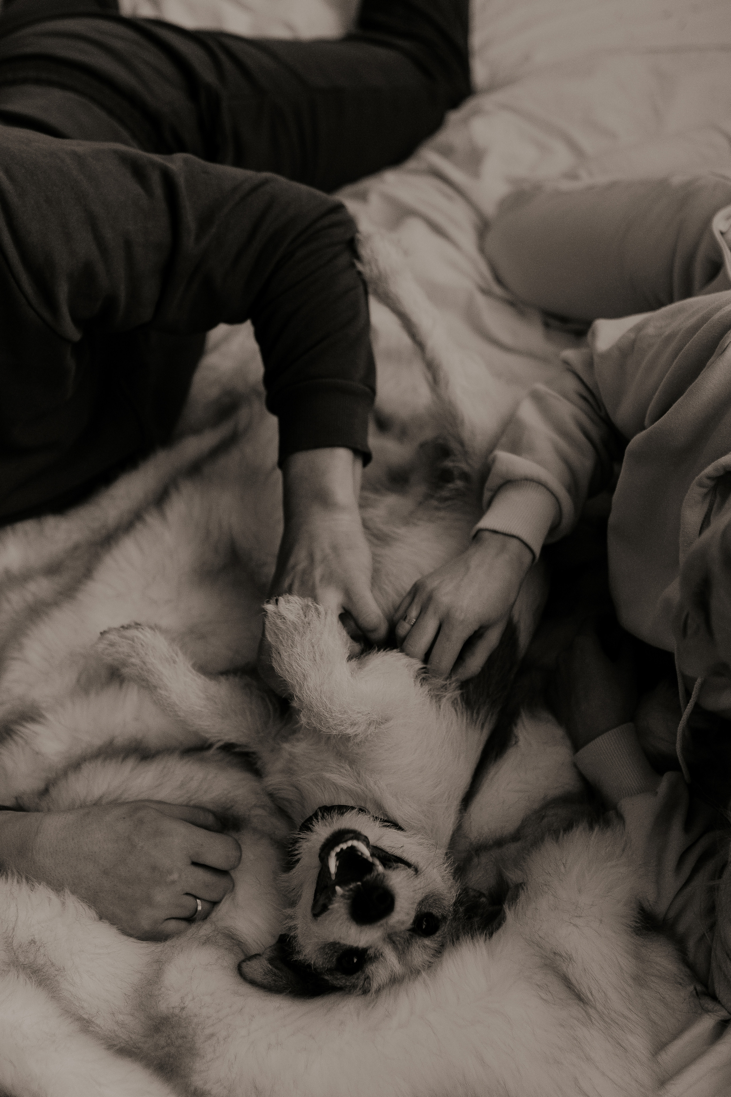 Совместная игра в дженгу. Фотограф в Санкт-Петербурге Лиза Семченкова