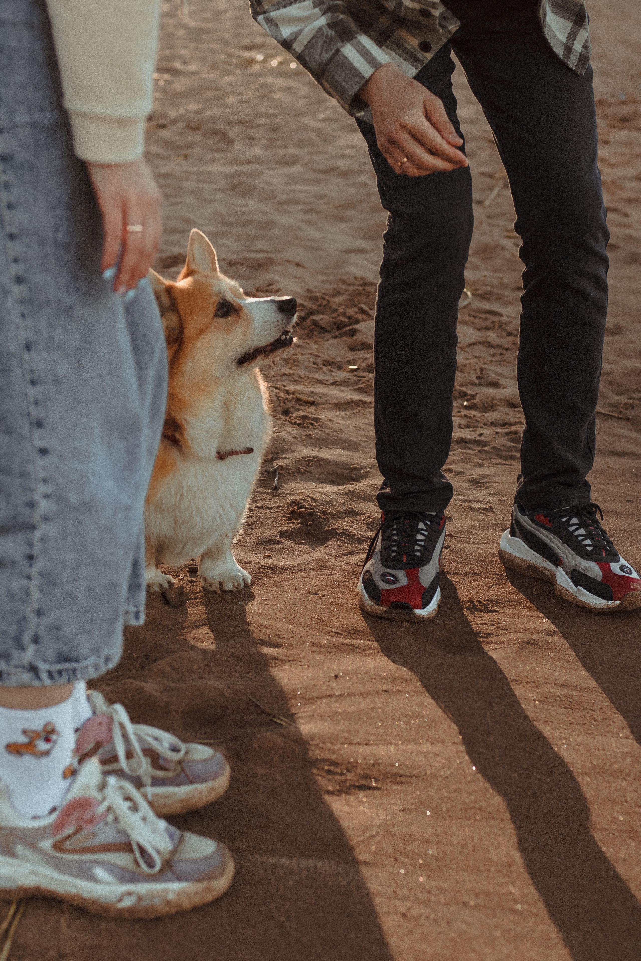 История любви на закате Спб. Фотограф в Санкт-Петербурге Лиза Семченкова