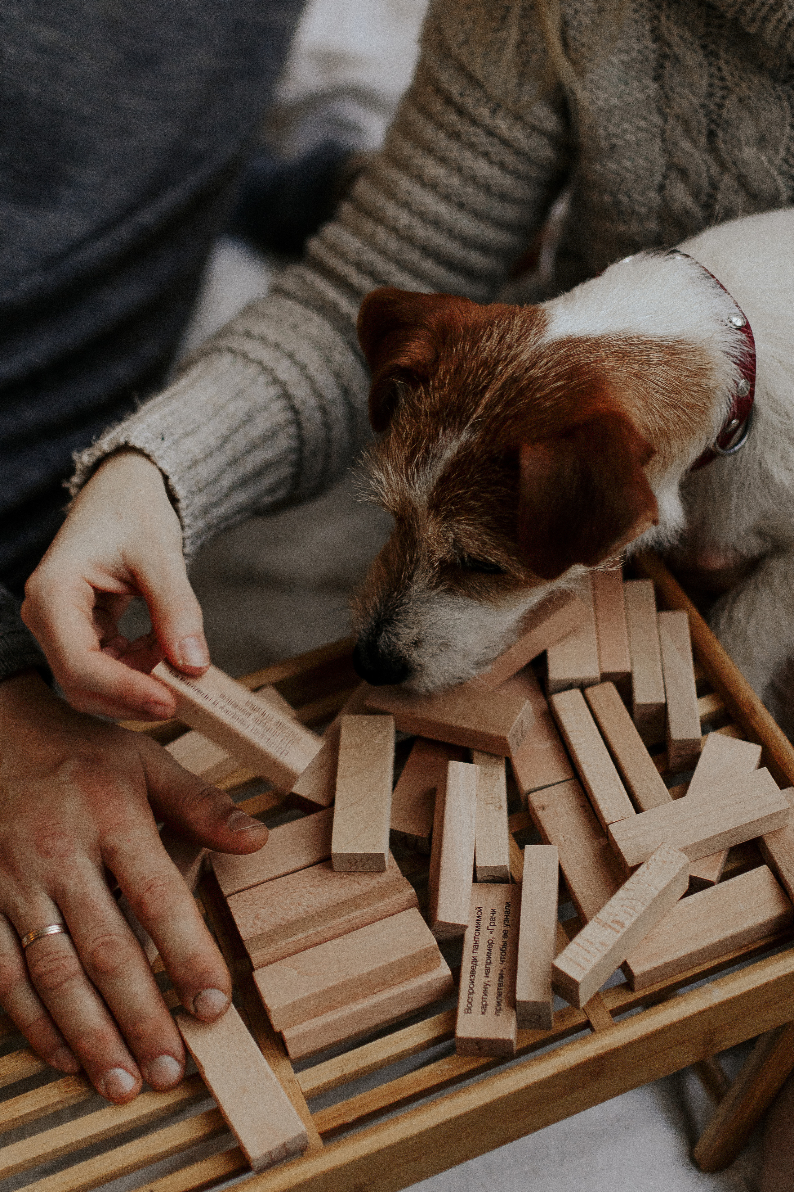 Совместная игра в дженгу. Фотограф в Санкт-Петербурге Лиза Семченкова