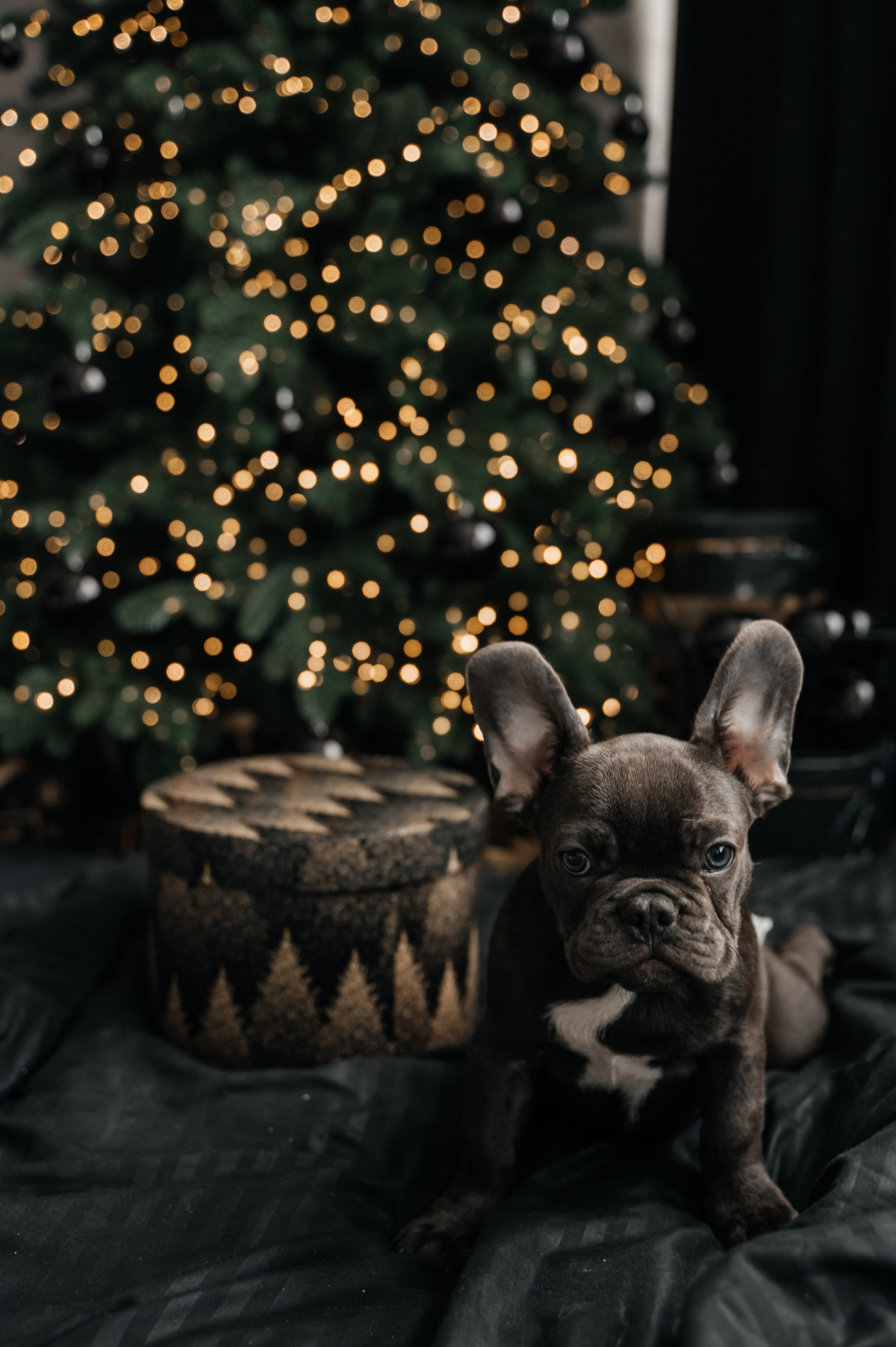 Юля и Гранд. Свадебный и семейный фотограф в городе Смоленске