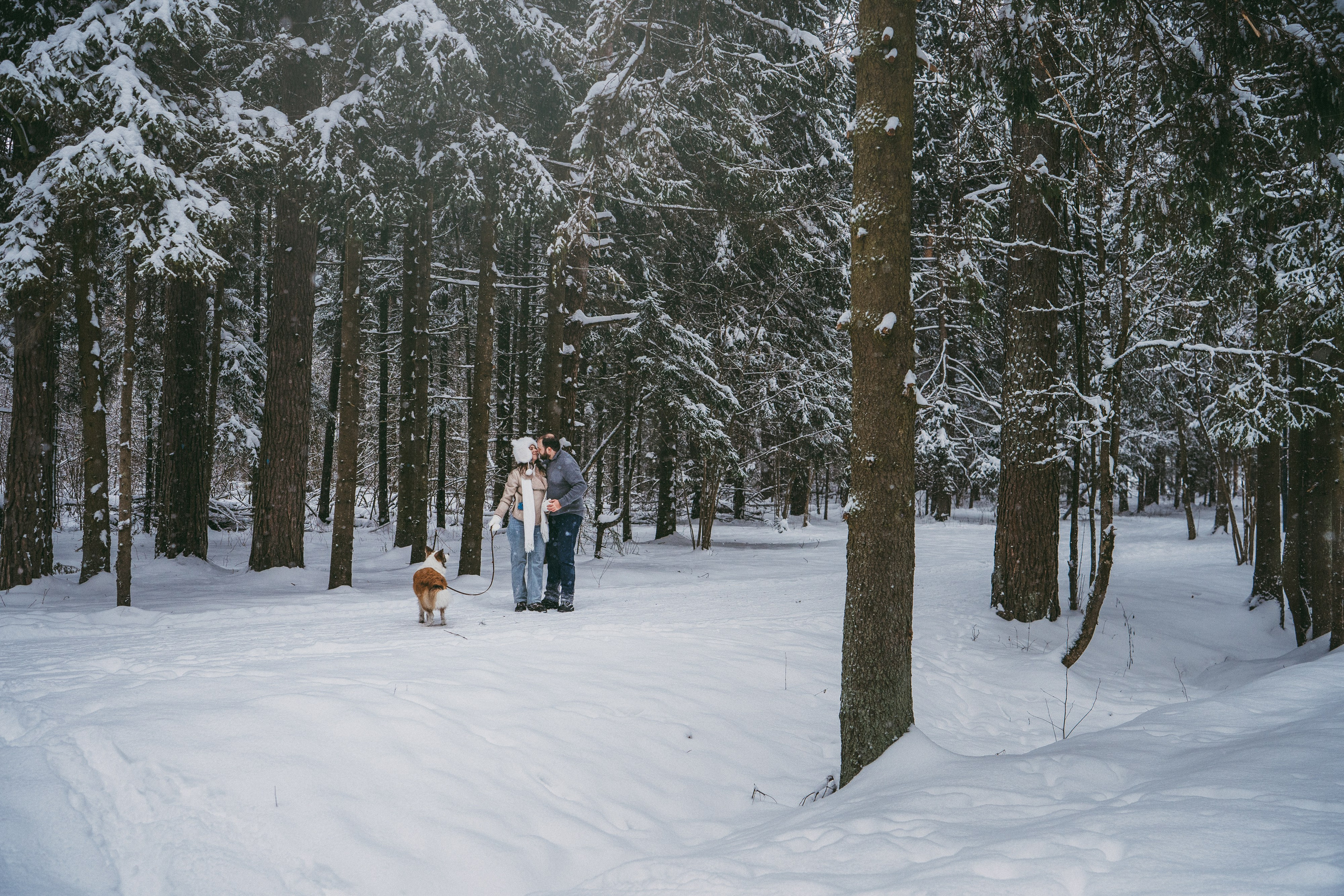 Катя, Анатолий и Елай. Фотограф анималист в Москве и Санкт-Петербурге Свиридова Анна