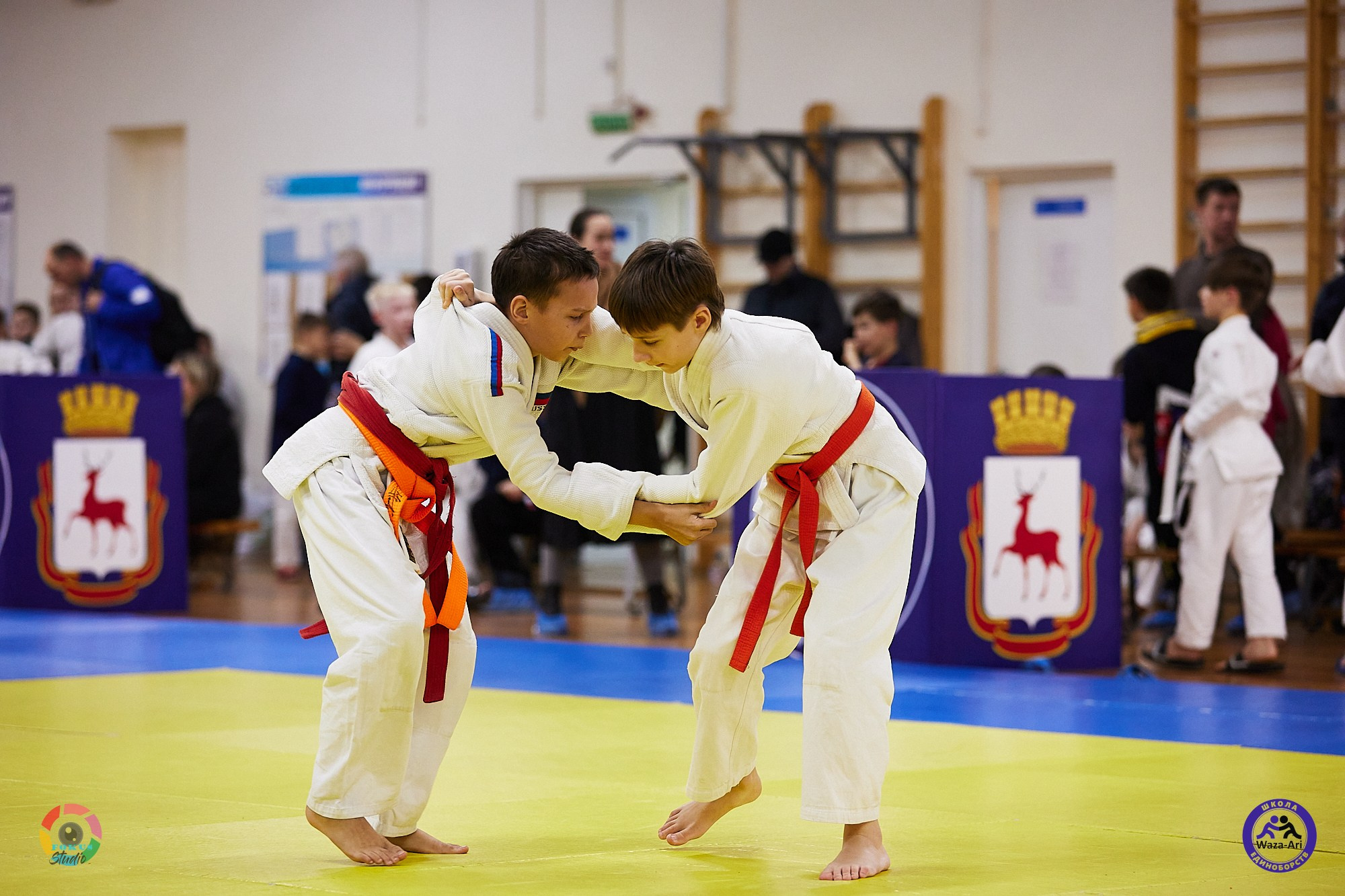 Репортаж Турнир по дзюдо. Спортивный фотограф Некрасов Денис