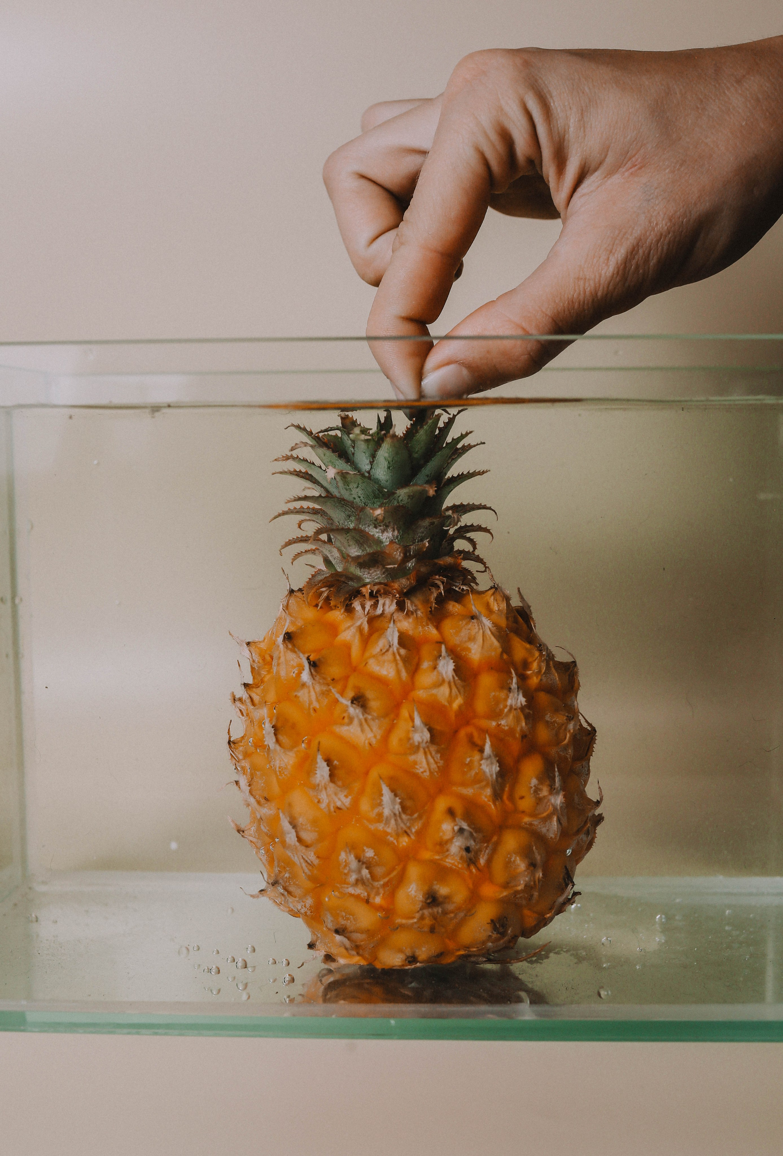 Предметная съемка. Твой снимок СПб