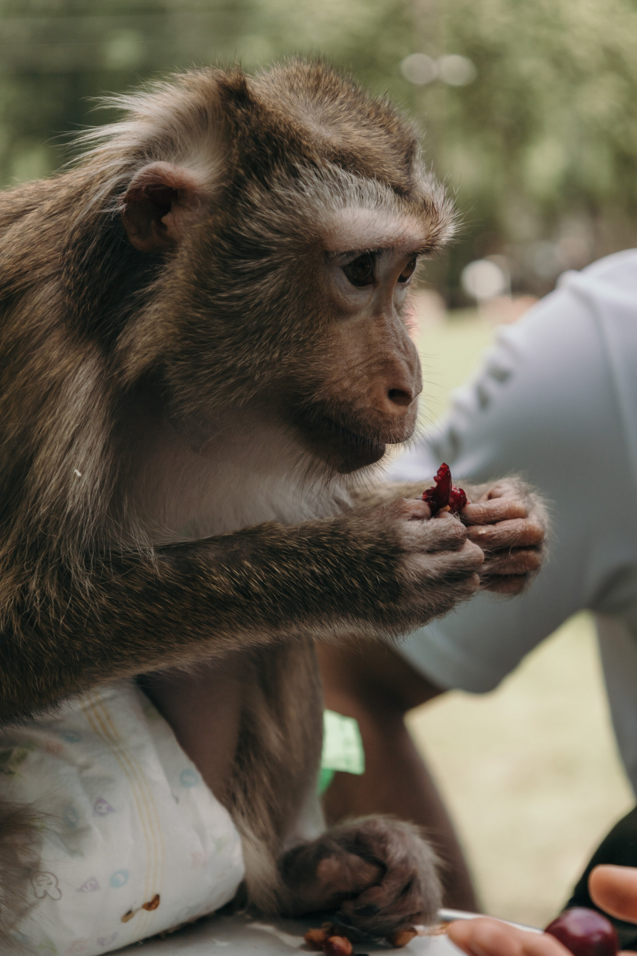 День детей. Семейный фотограф в Москве, Щелково, Фрязино _ Виктория Степанова