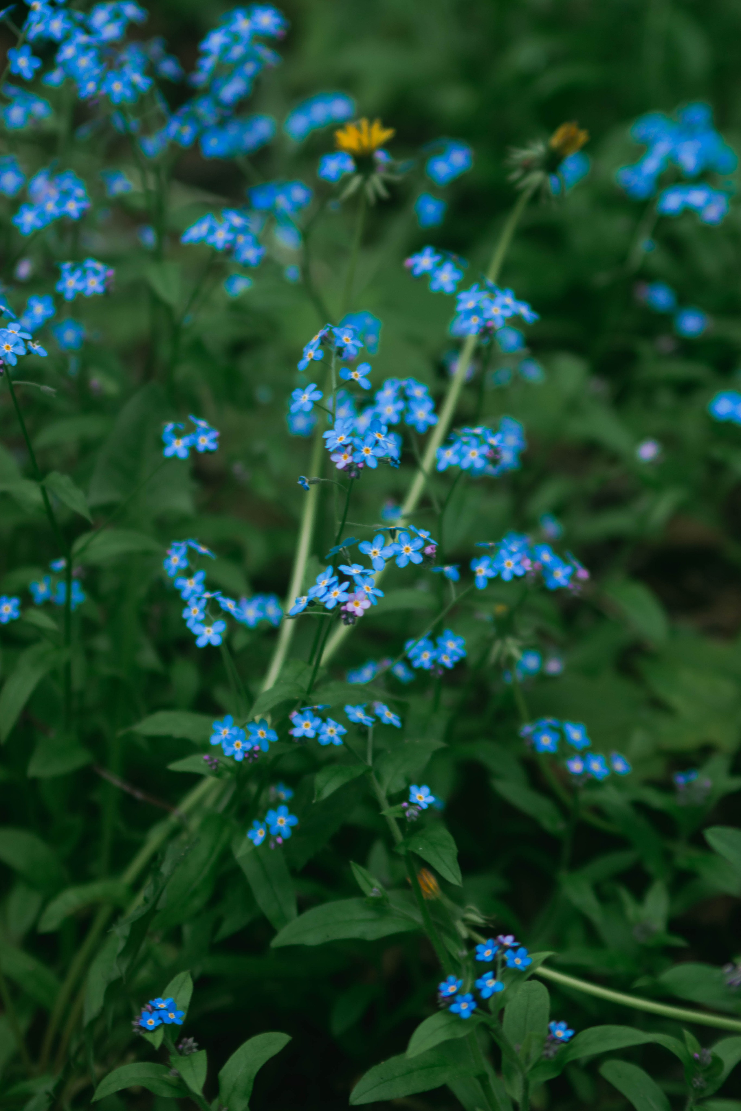 Портретные съемки. Портретный фотограф из Санкт-Петербурга — Дана Мария