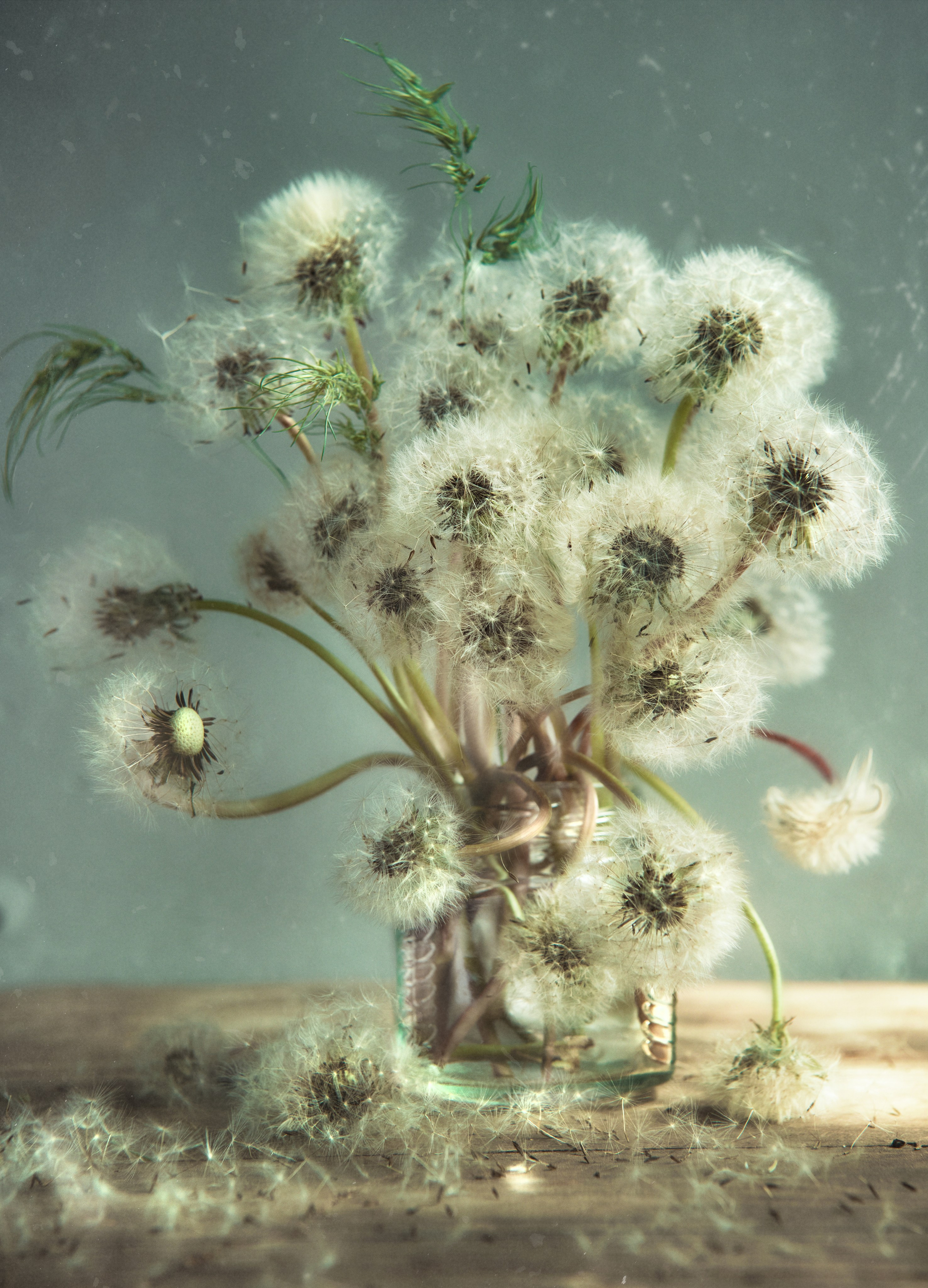 Фотохудожник Нина Жихарева