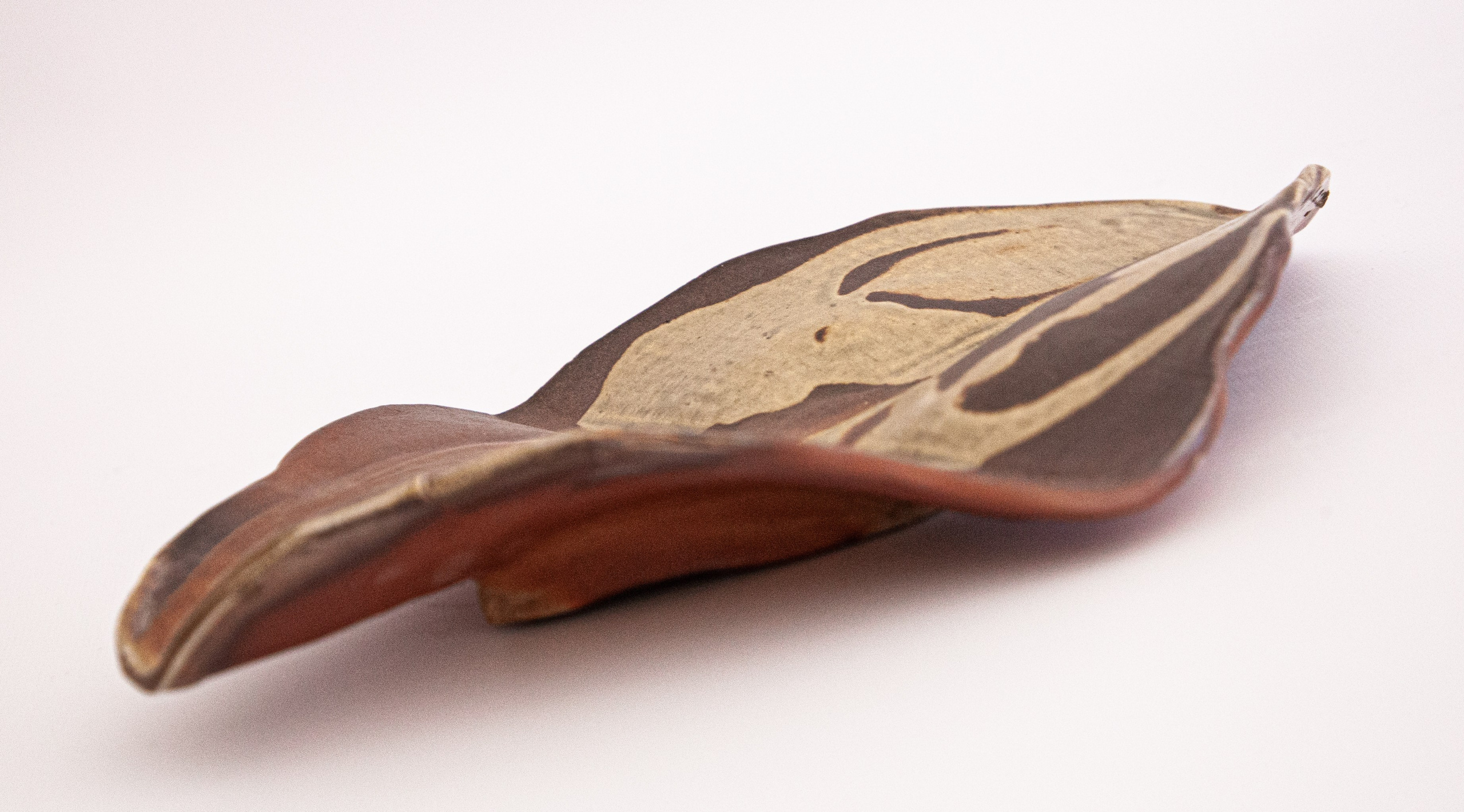 — Керамика для Екатерины. Фотограф | Москва