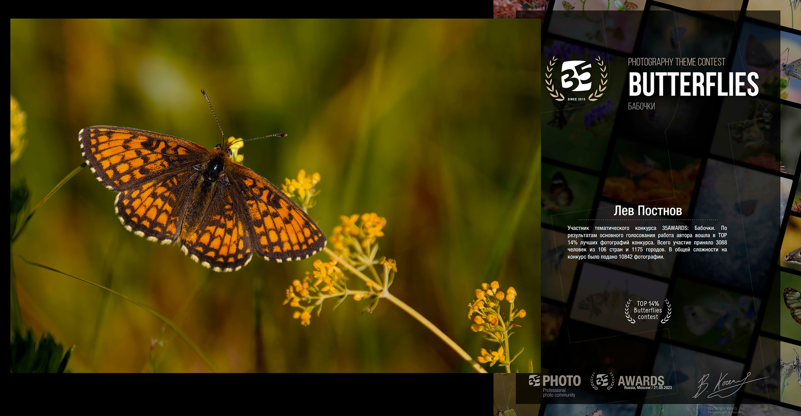 Мои маленькие победы. Лев Постнов.Фотограф. Нижний Новгород