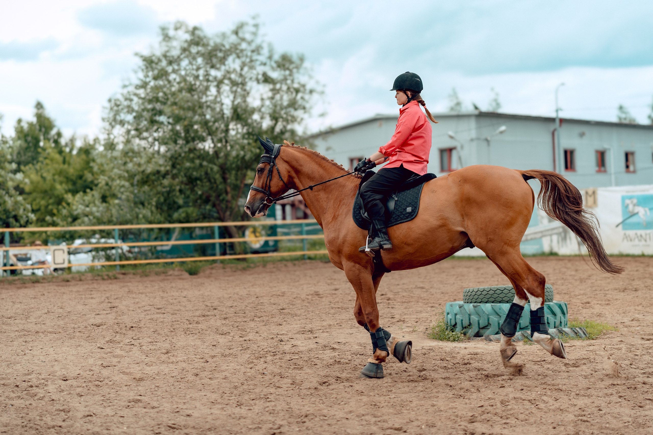 Hourse. Портретный и семейный фотограф в Москве/Видное