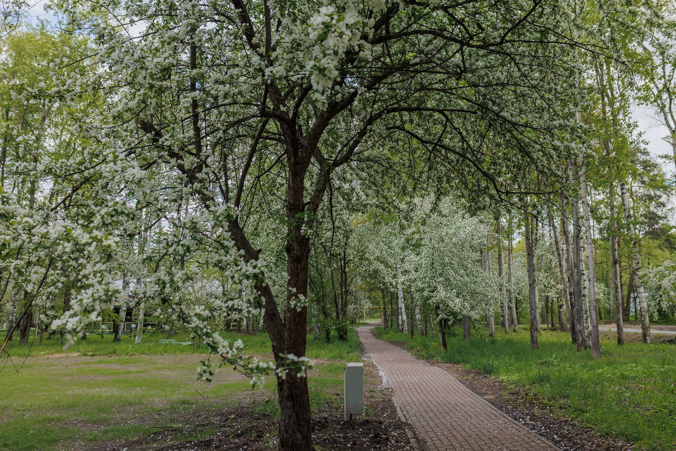 База отдыха «Металлург». Фотограф городских и семейных событий в Нижнем Новгороде Артем Карпухин