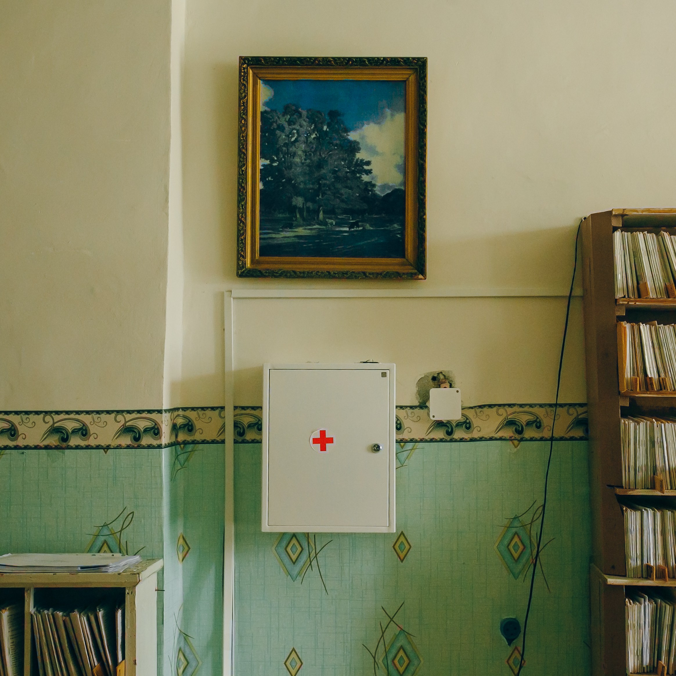 ФАПы. Шулятьева Анна визуальный художник