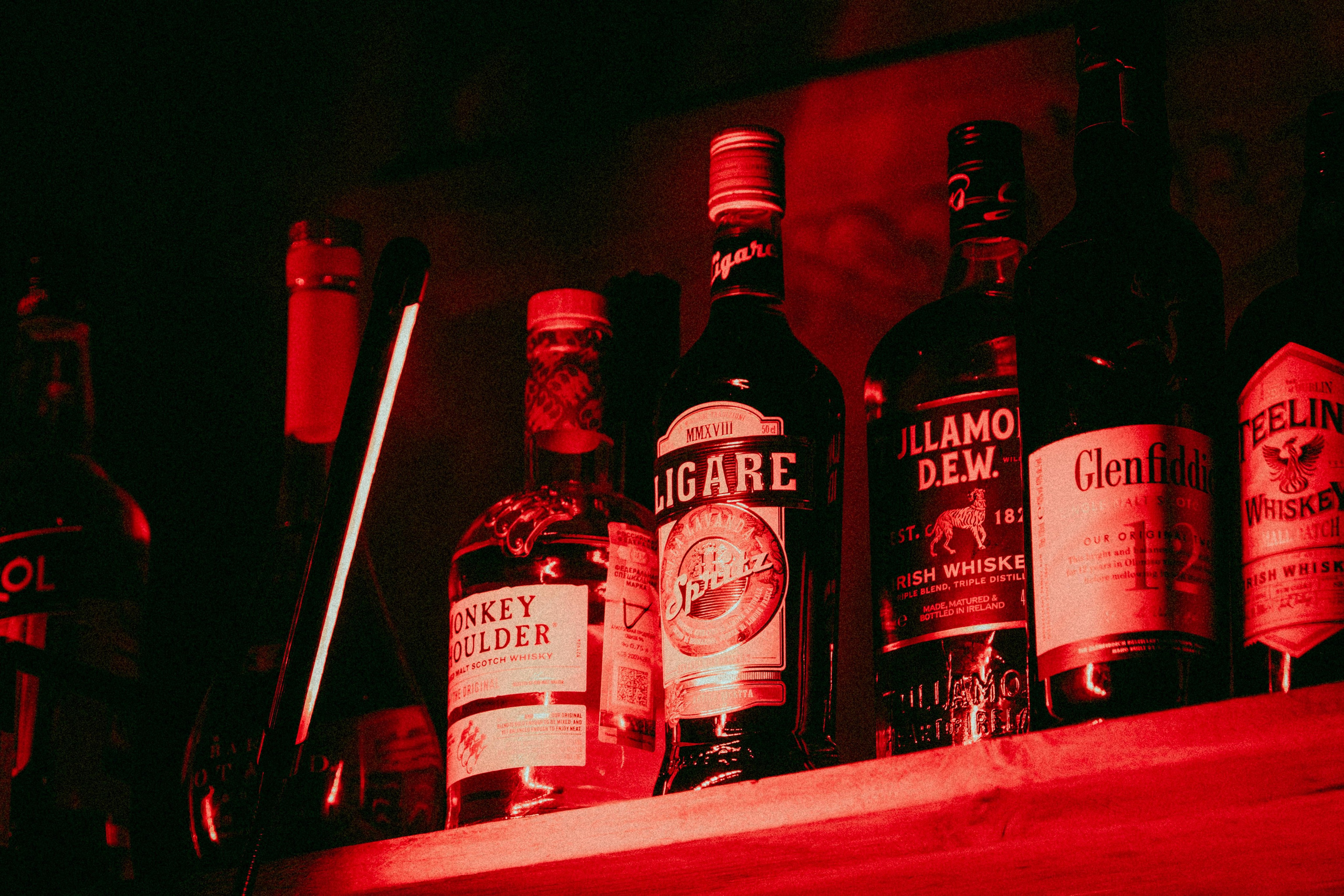 Репортаж Jollyer Place. Антон Киптиков фотограф