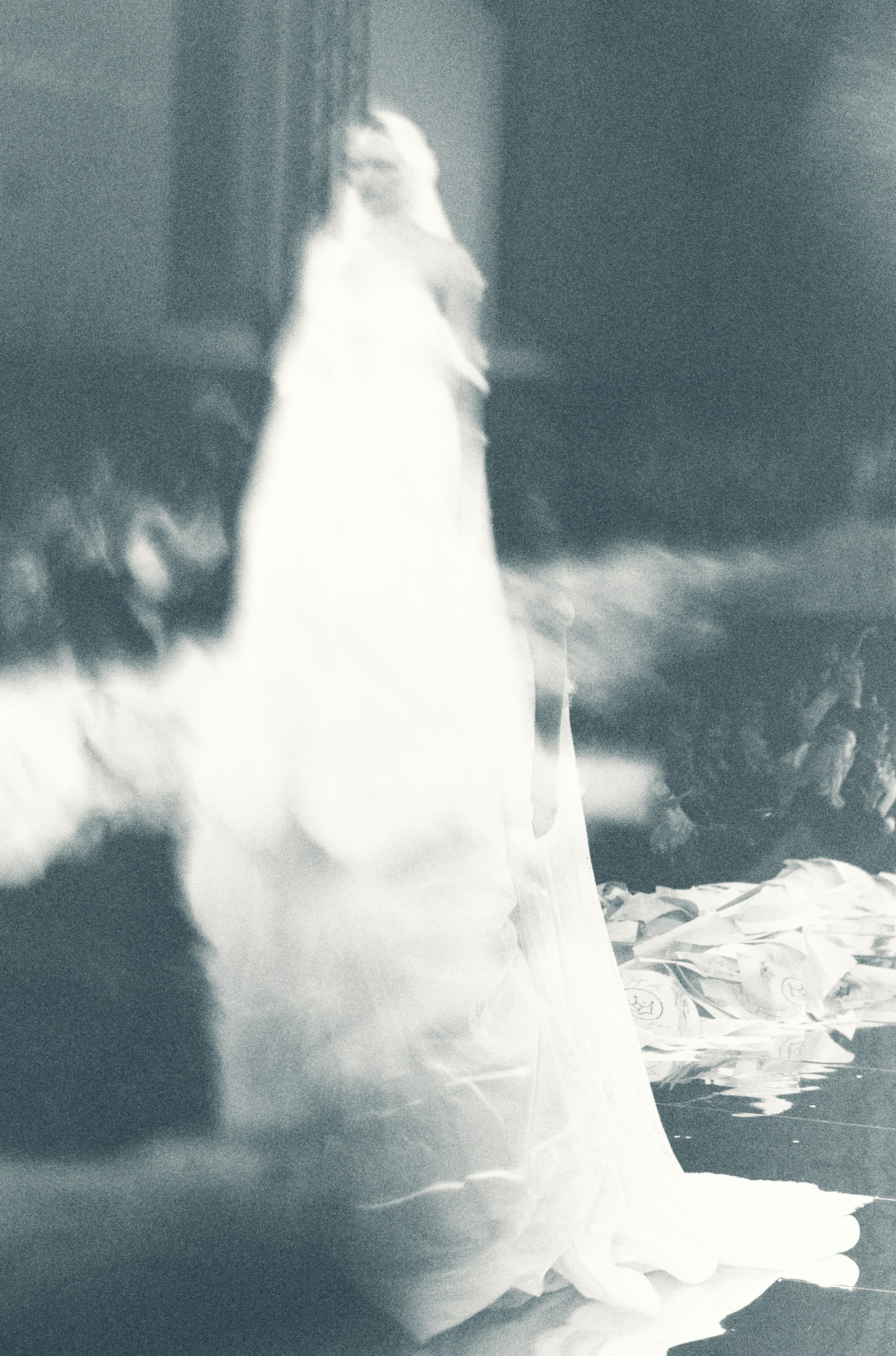 Rara Avis Fashion Show 2026. Fusion Wedding Photographer