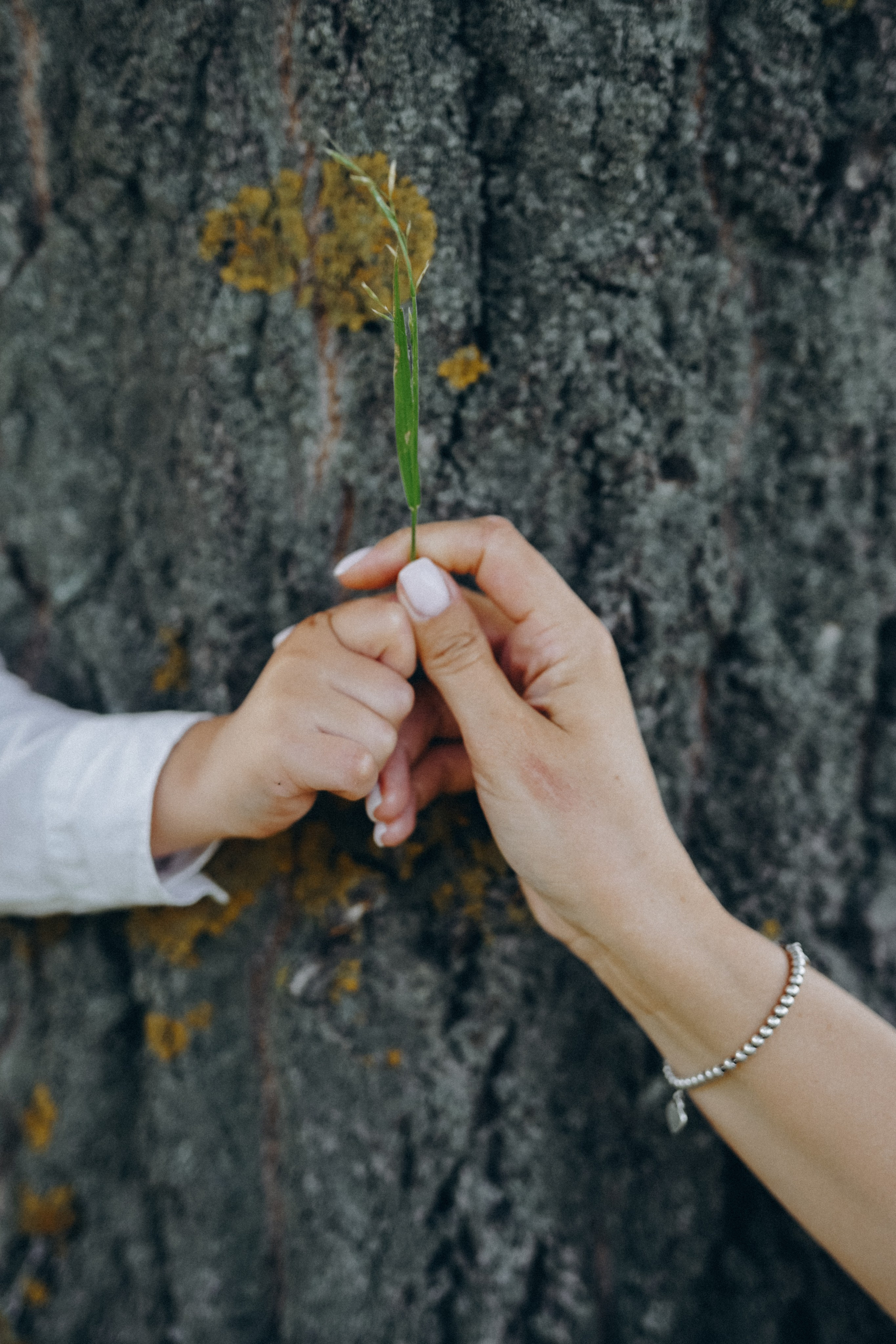 Ты лети воздушный змей. Фотограф Наталья Колганова