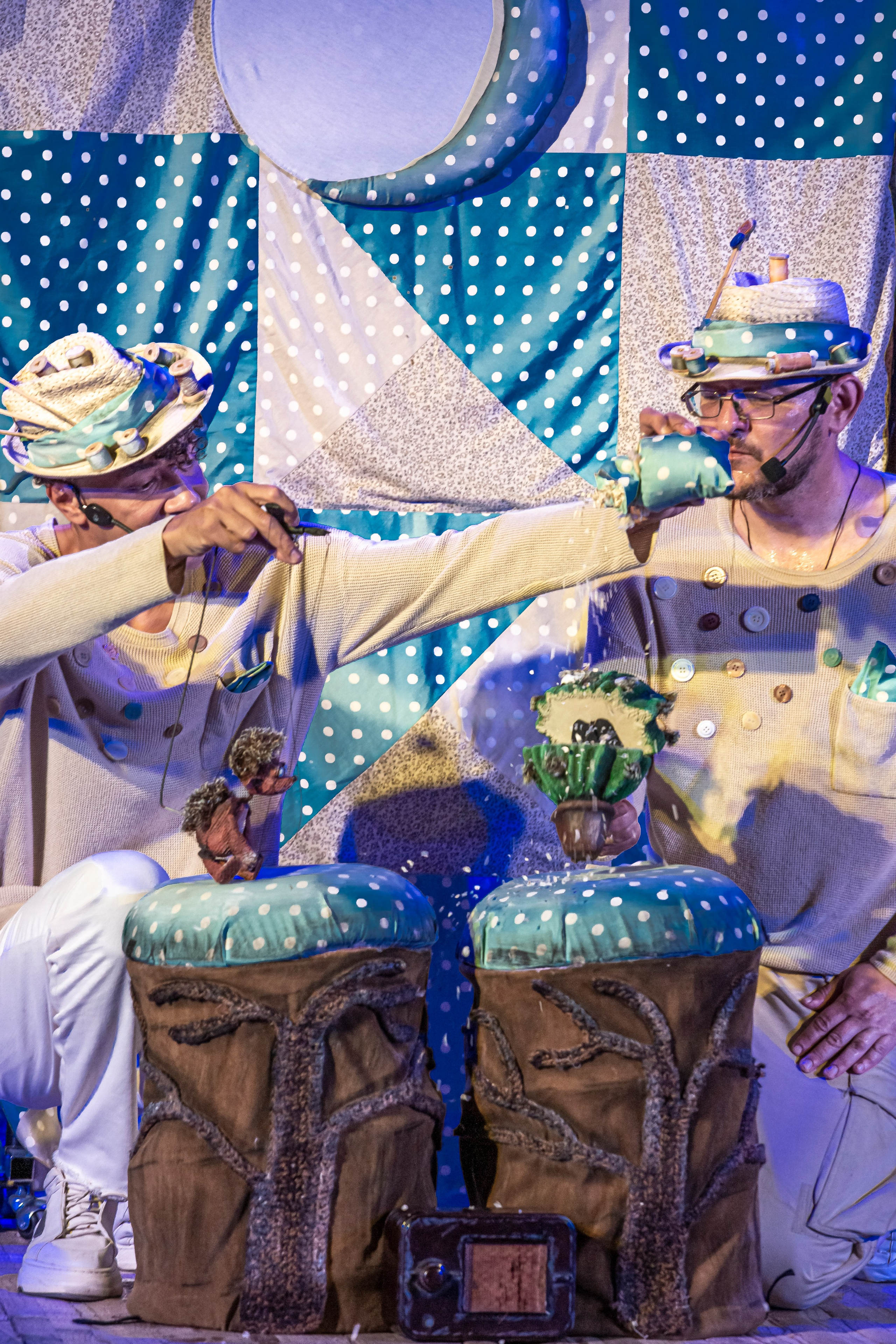 Колючая сказка. Фотограф в Сочи Юрий Шептаев