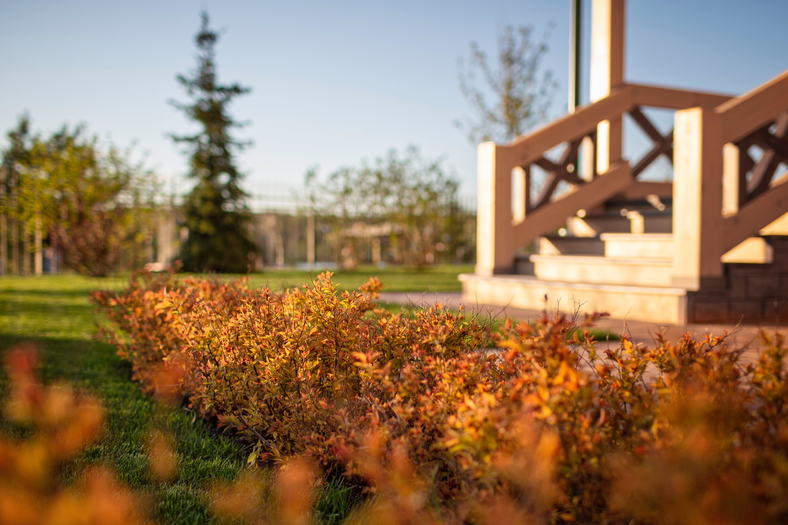 Ландшафтный дизайн. Фотограф Наталья Молчанова