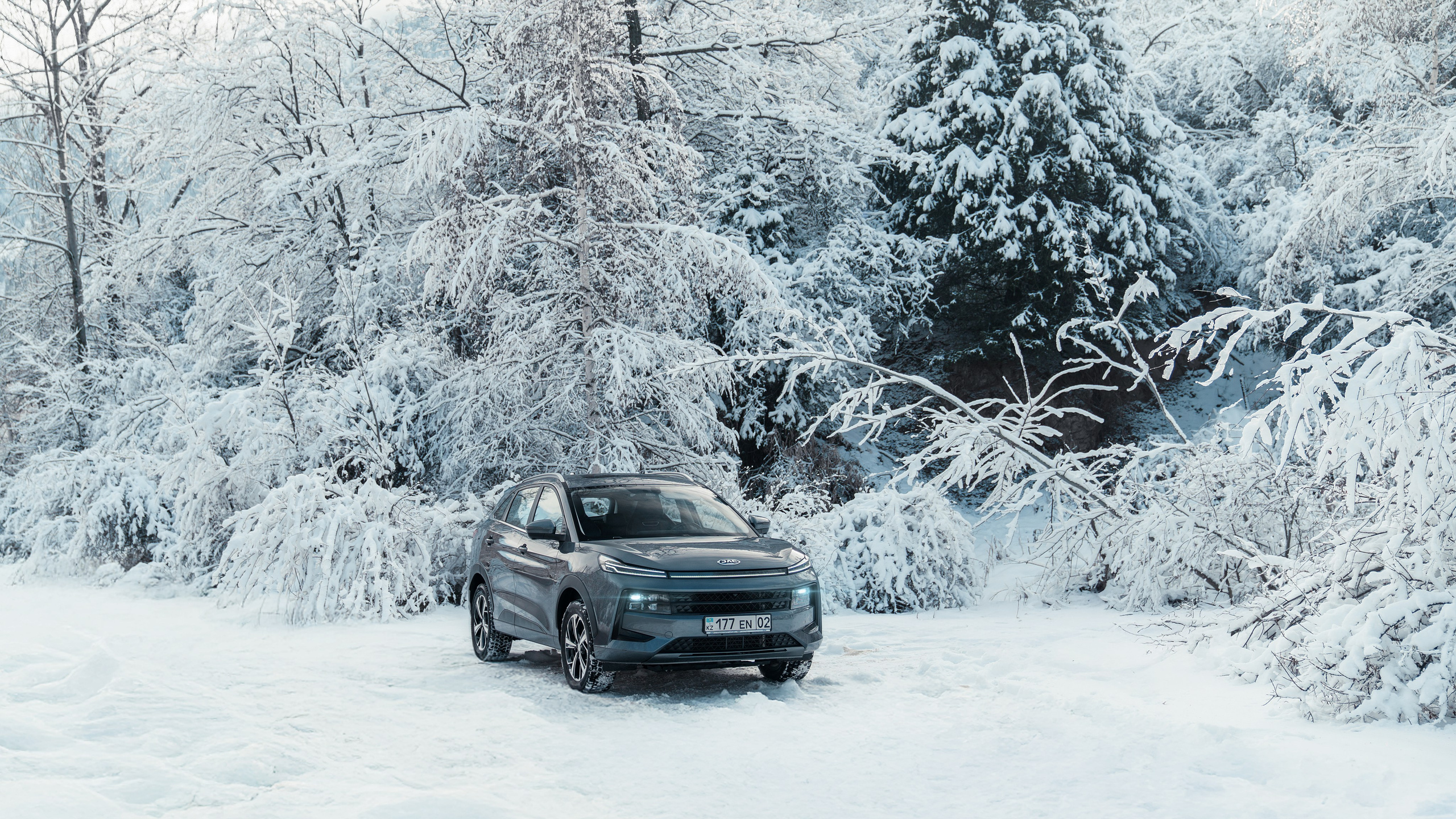 JAC. Фотограф TAULAN_1