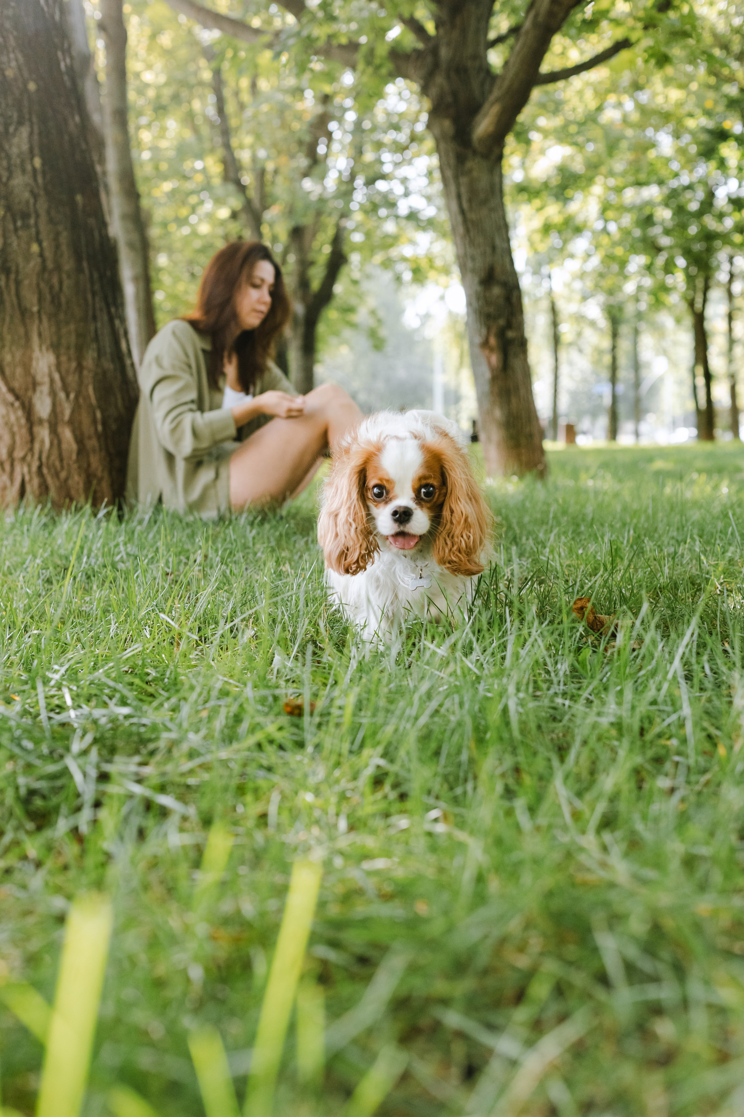 Фотопрогулка на бульваре. Фотограф-анималист Татьяна Степанова