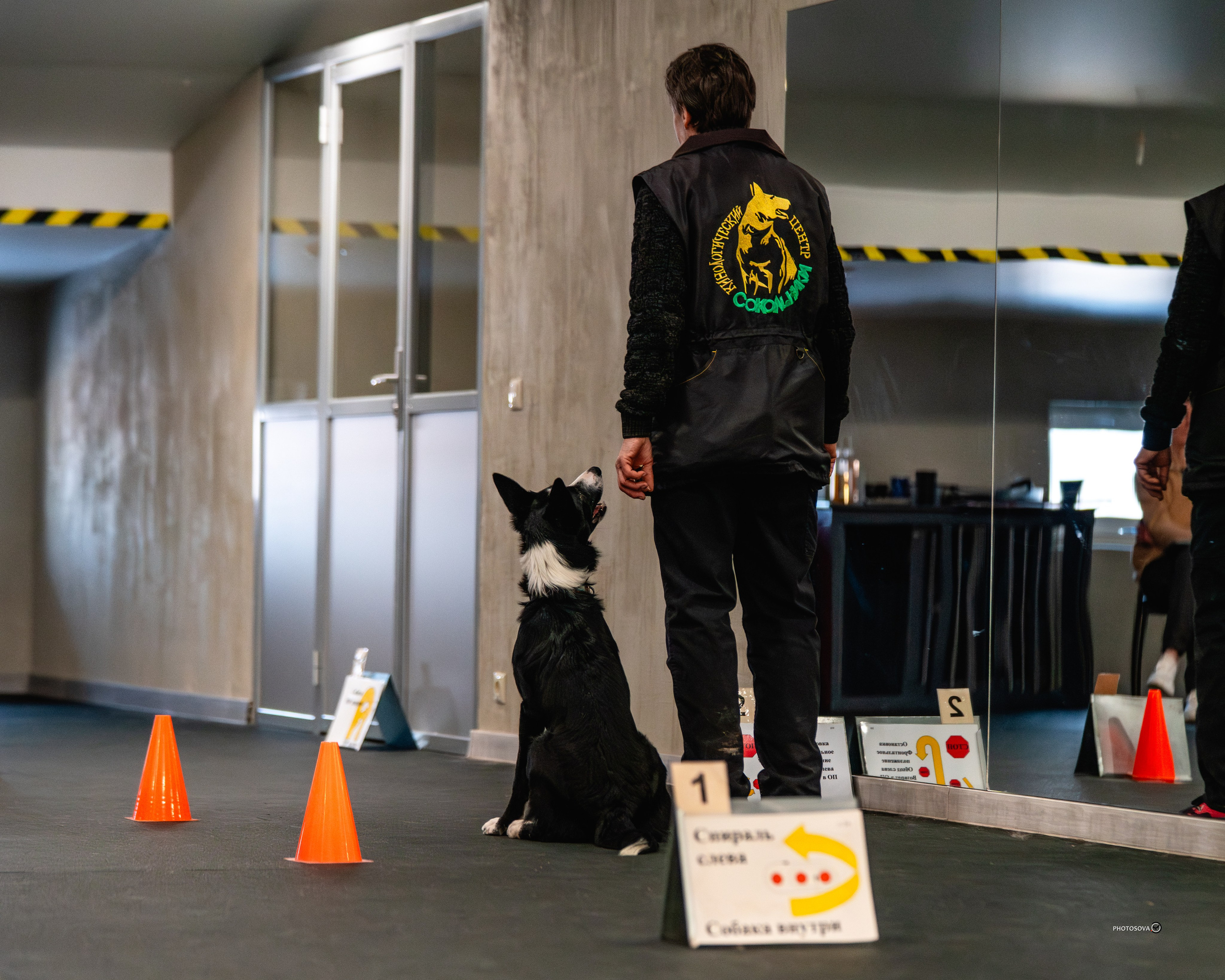 ТЫ И Я (соревнования по ралли-обидиенс). Фотограф-анималист, семейный фотограф в Москве и Подмосковье. Фотосъёмка кинологических дисциплин