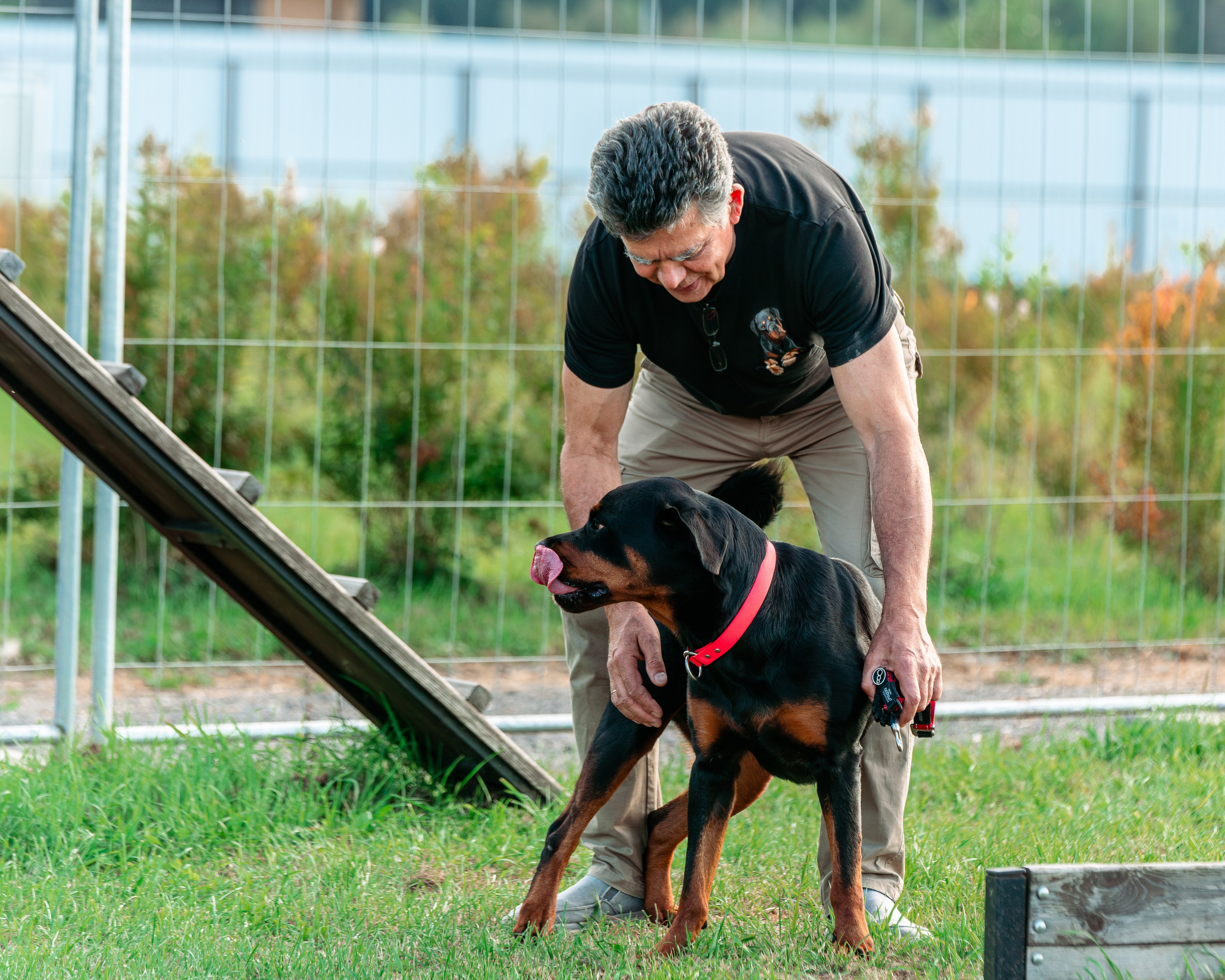 Ваш путь к ПОБЕДЕ (ТРЕНИРОВКИ). Фотограф-анималист, семейный фотограф в Москве и Подмосковье. Фотосъёмка кинологических дисциплин