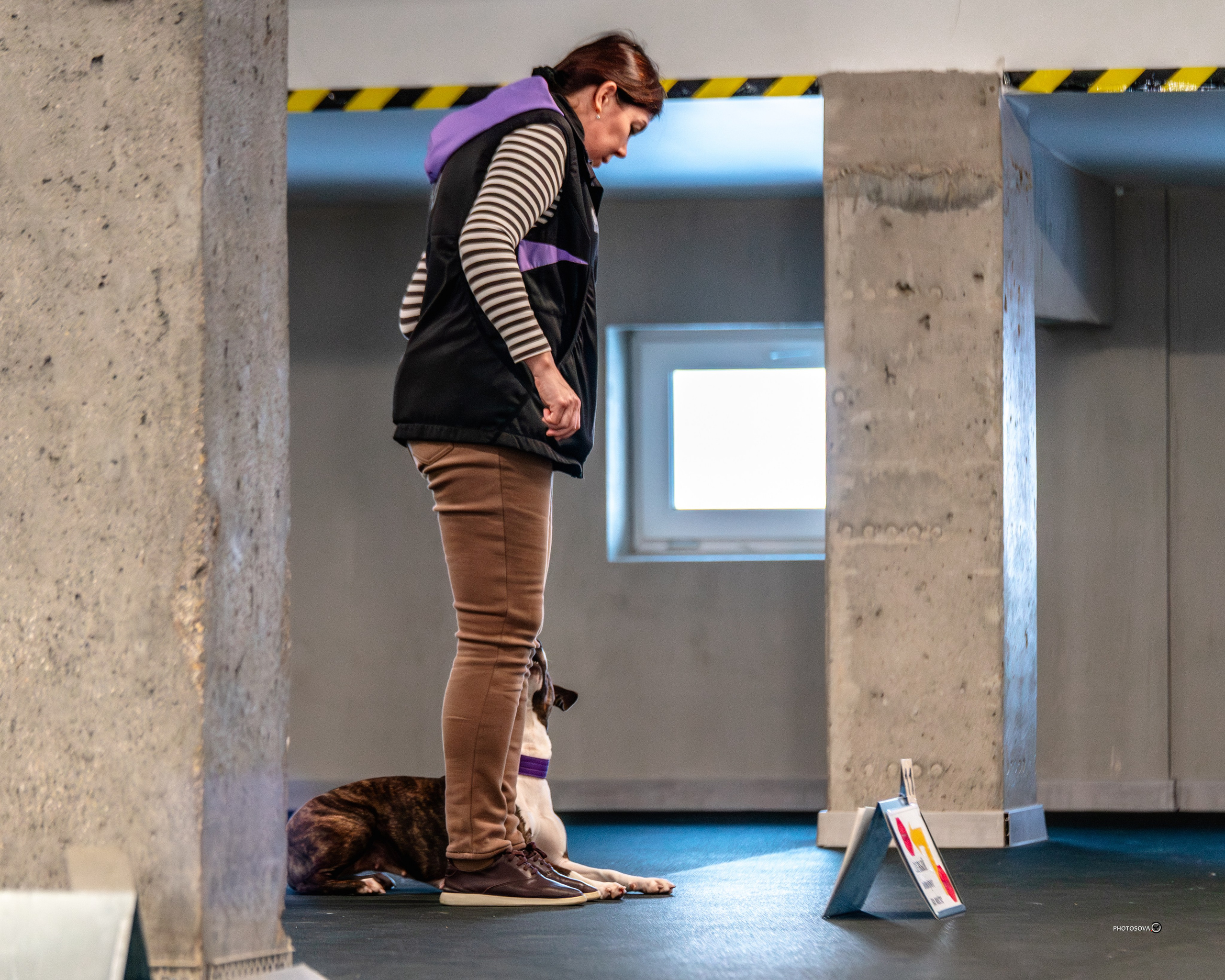 ТЫ И Я (соревнования по ралли-обидиенс). Фотограф-анималист, семейный фотограф в Москве и Подмосковье. Фотосъёмка кинологических дисциплин