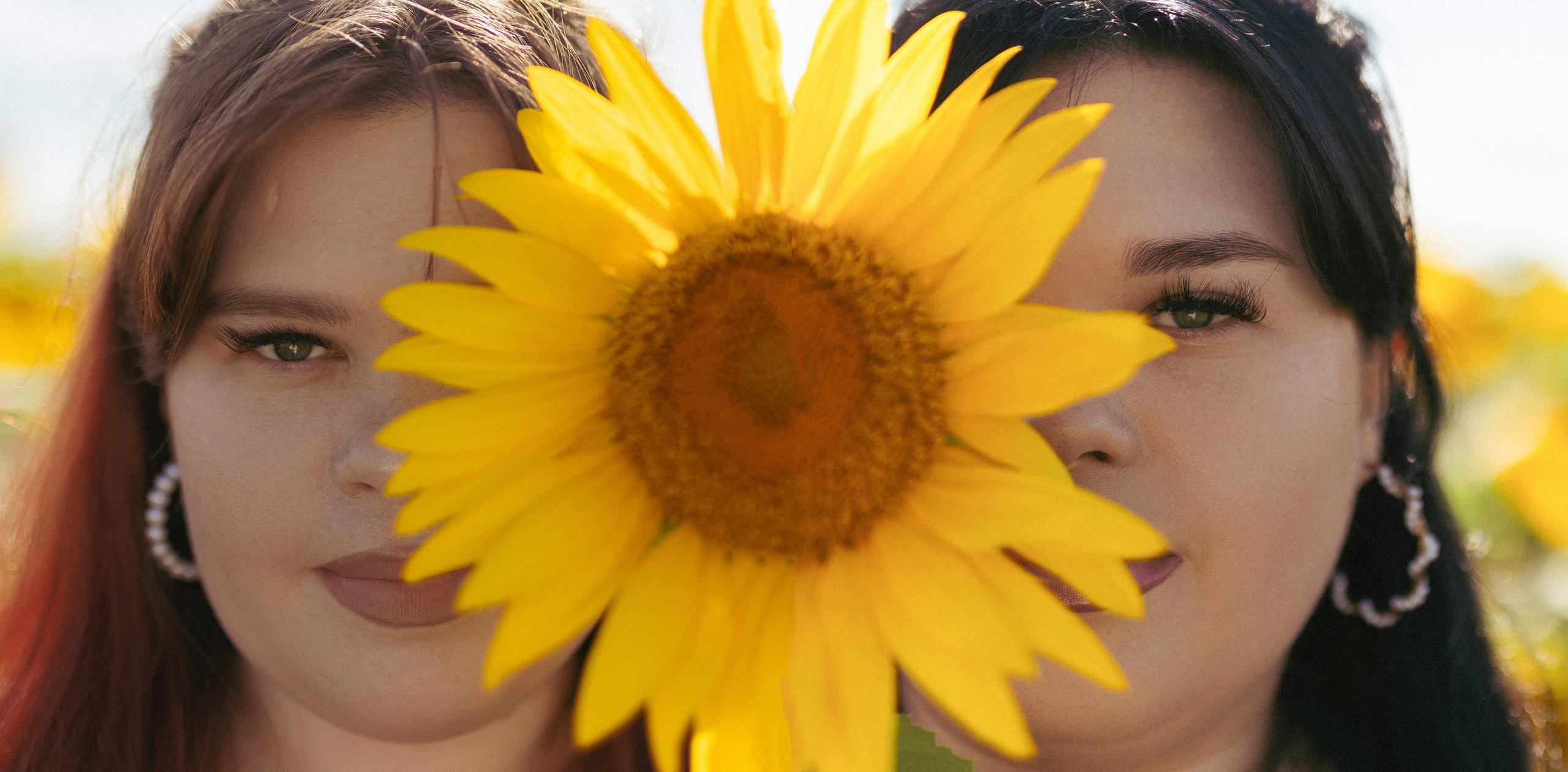 Подсолнухи. Фотограф в Нижнем Новгороде, Дзержинске Олеся Хозяева