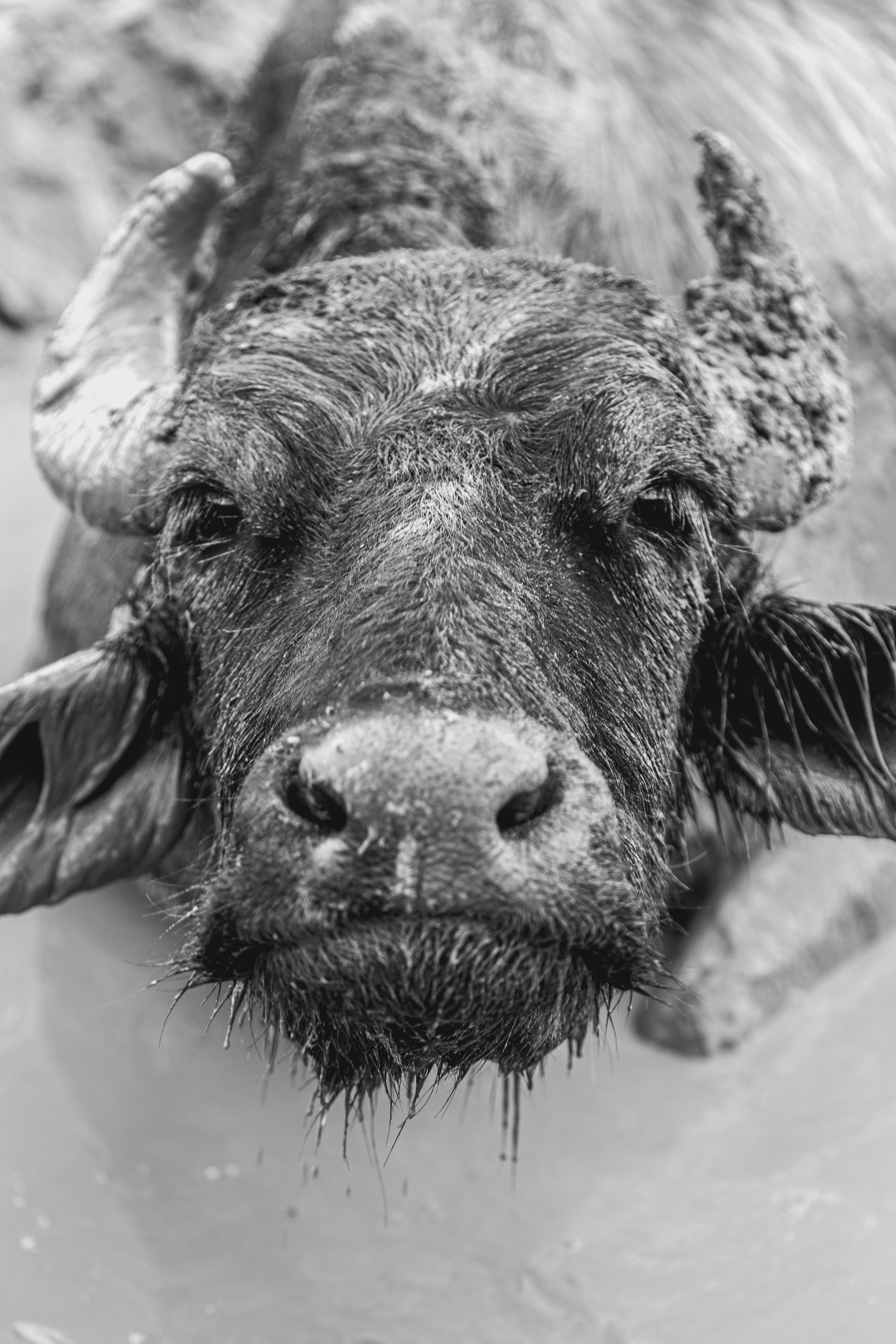 Элла Ферма. Юлия Космо — фуд-фотограф, предметный стилист, Москва