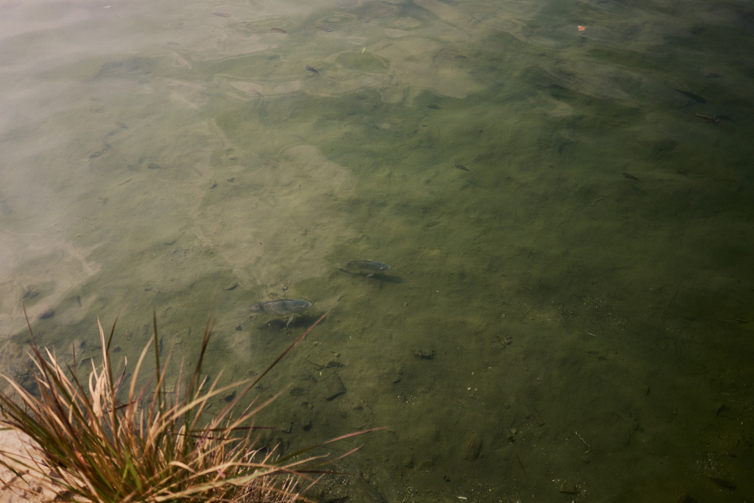 Другое 4. Jorgis — фотограф в Хургаде / обучение фотографии