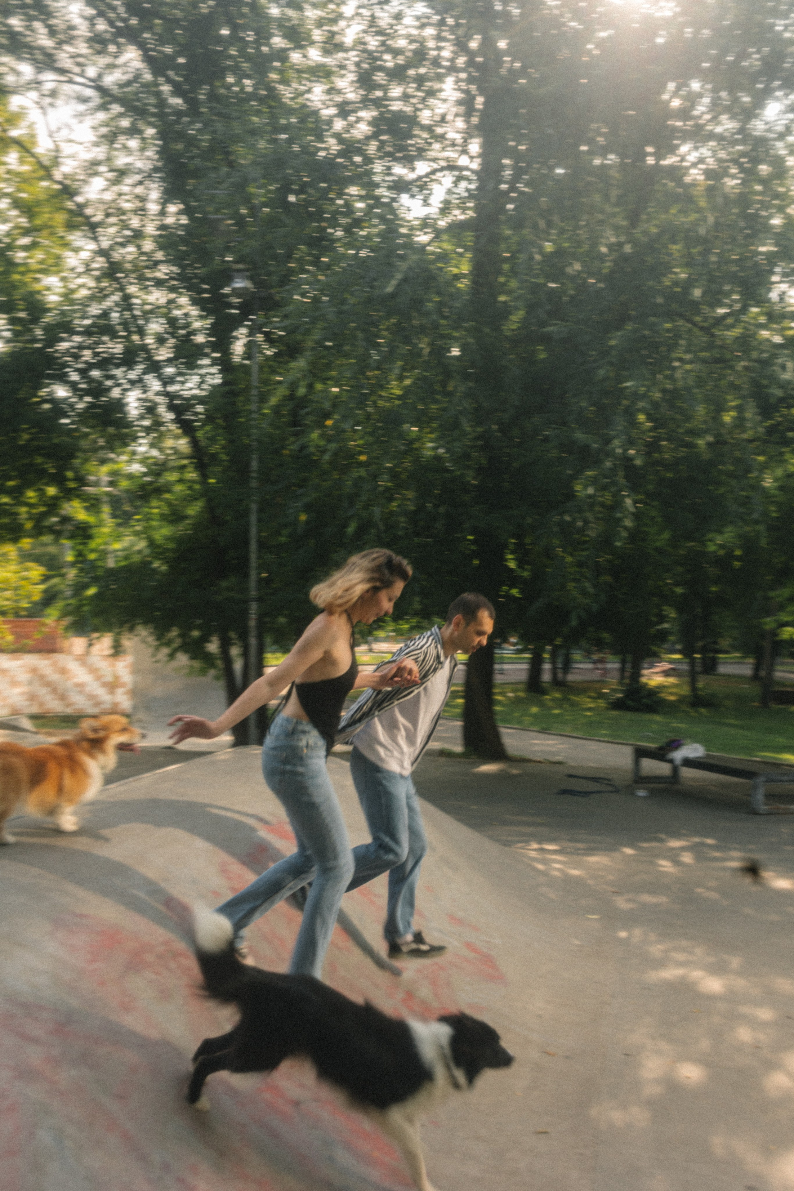 Брюс, Вейв и их ро. Фотораф — анималист Мария Шистка