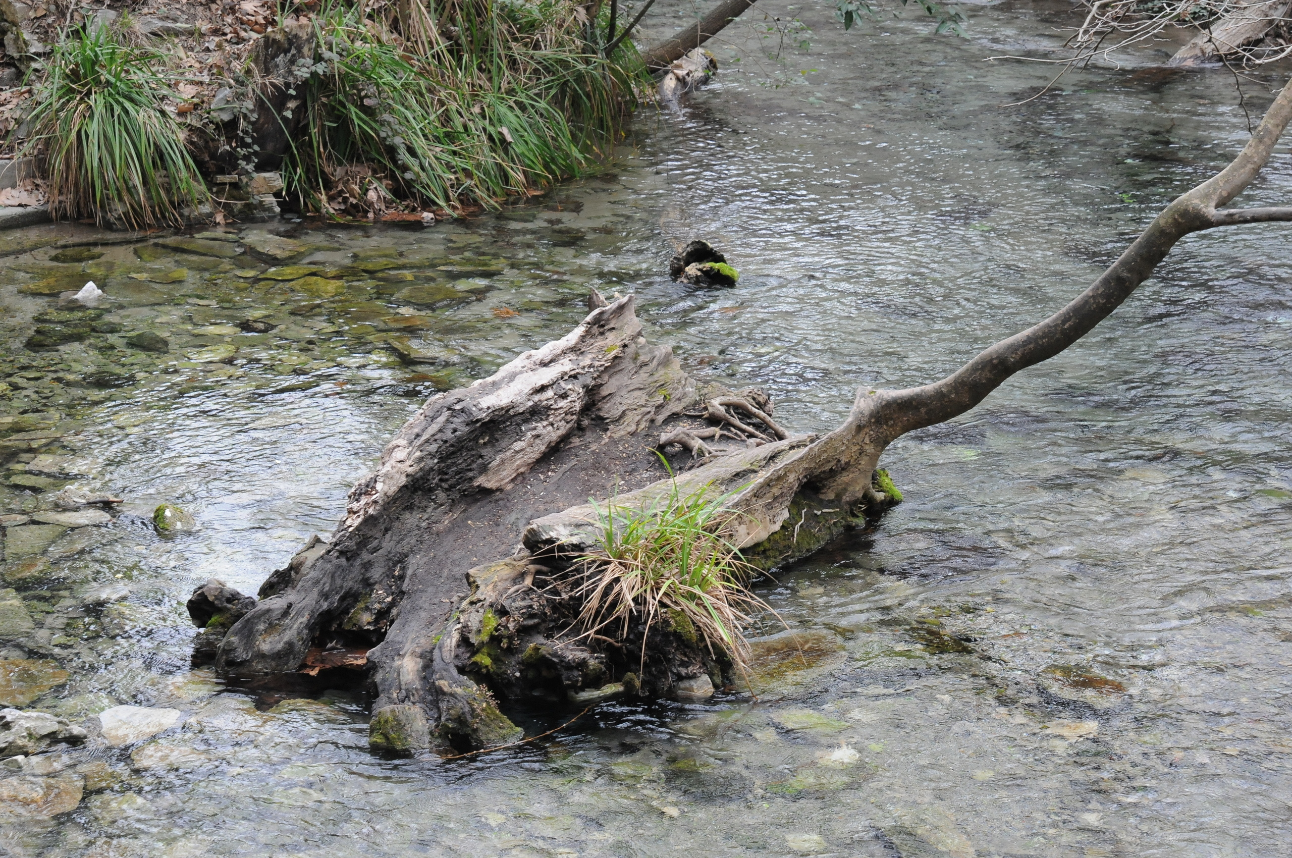 Путешествия. Свадебный и семейный фотограф