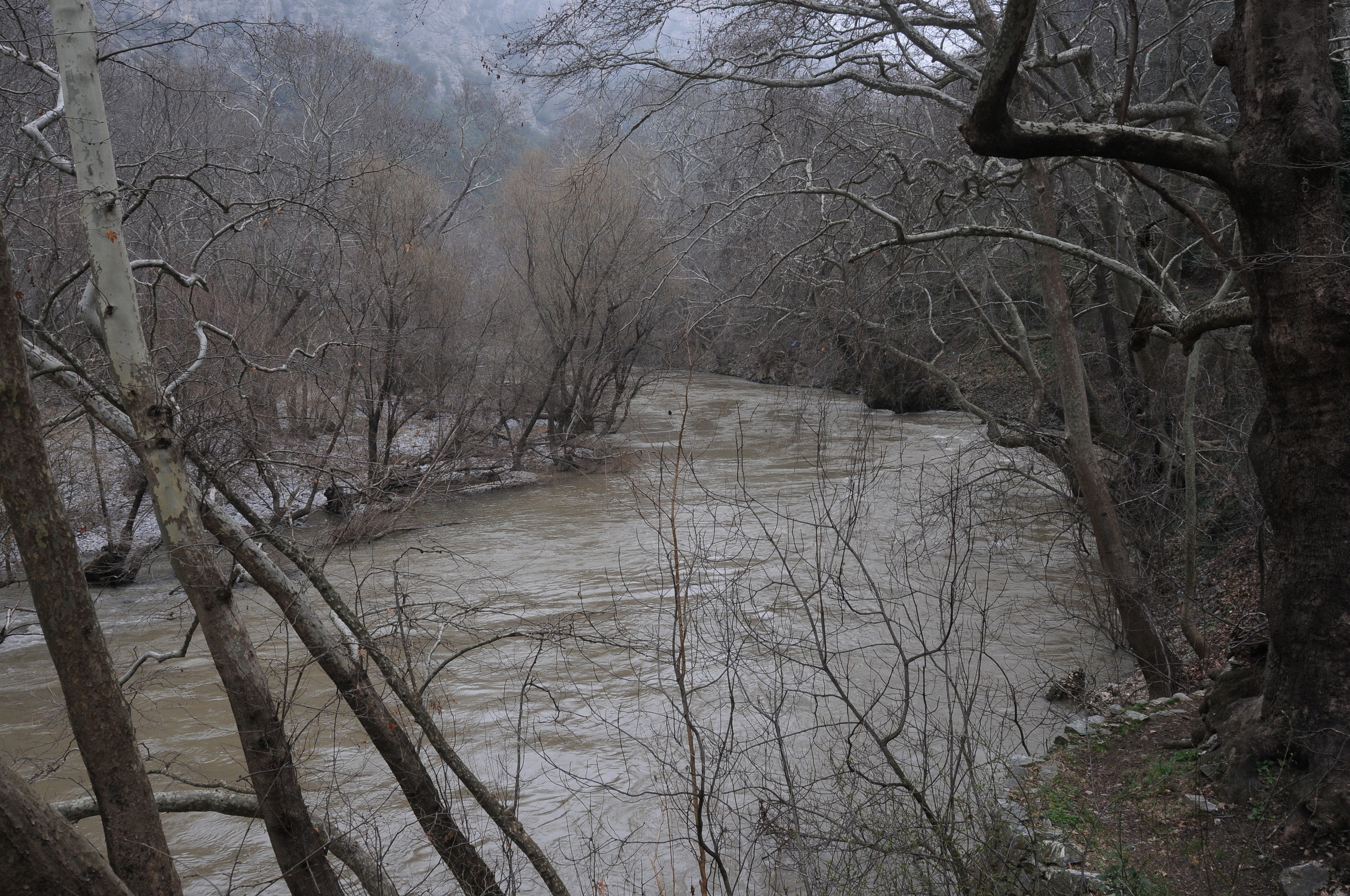 Путешествия. Свадебный и семейный фотограф