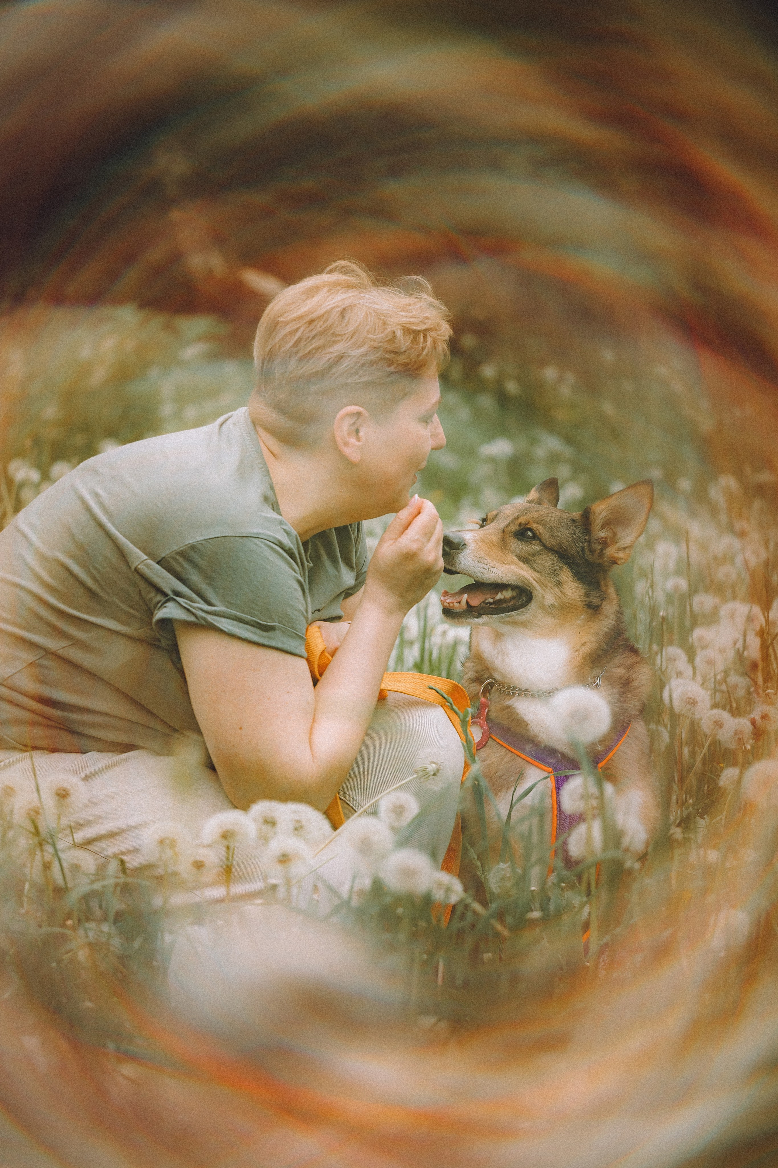 Груша, Данни, Фунтик и их семья