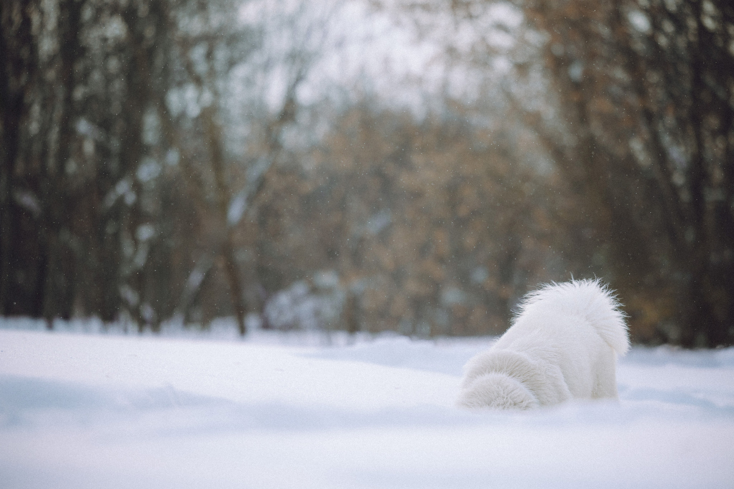 Мария и Мася