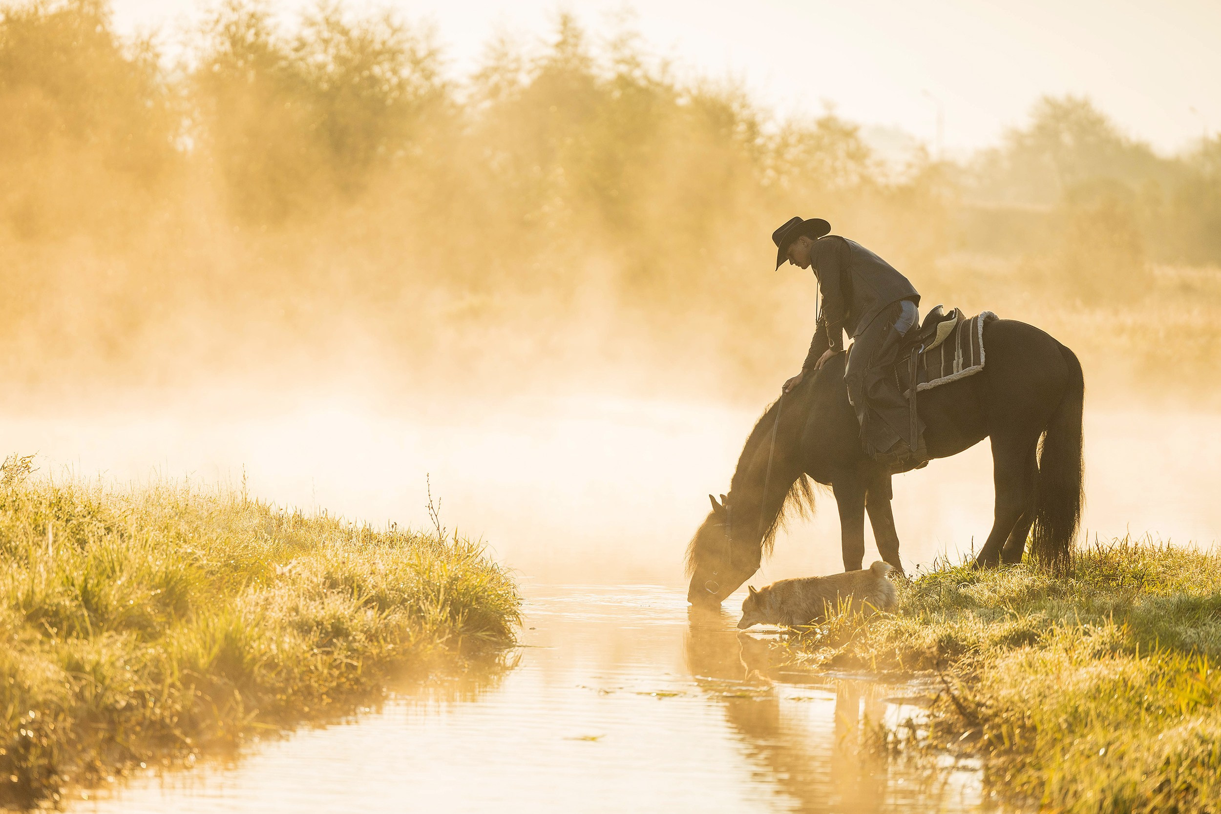 Люди. Фотограф-анималист Юлия Удовенко