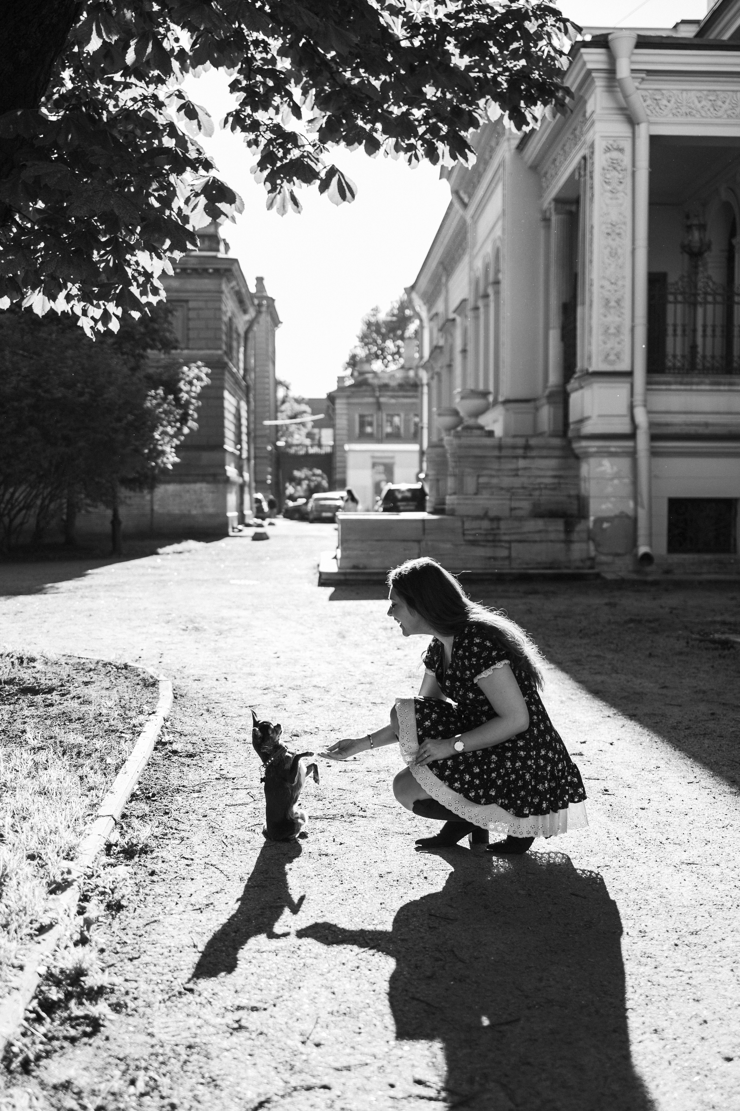 Даша и ее мальчики. Фотограф — Анималист | Санкт-Петербург