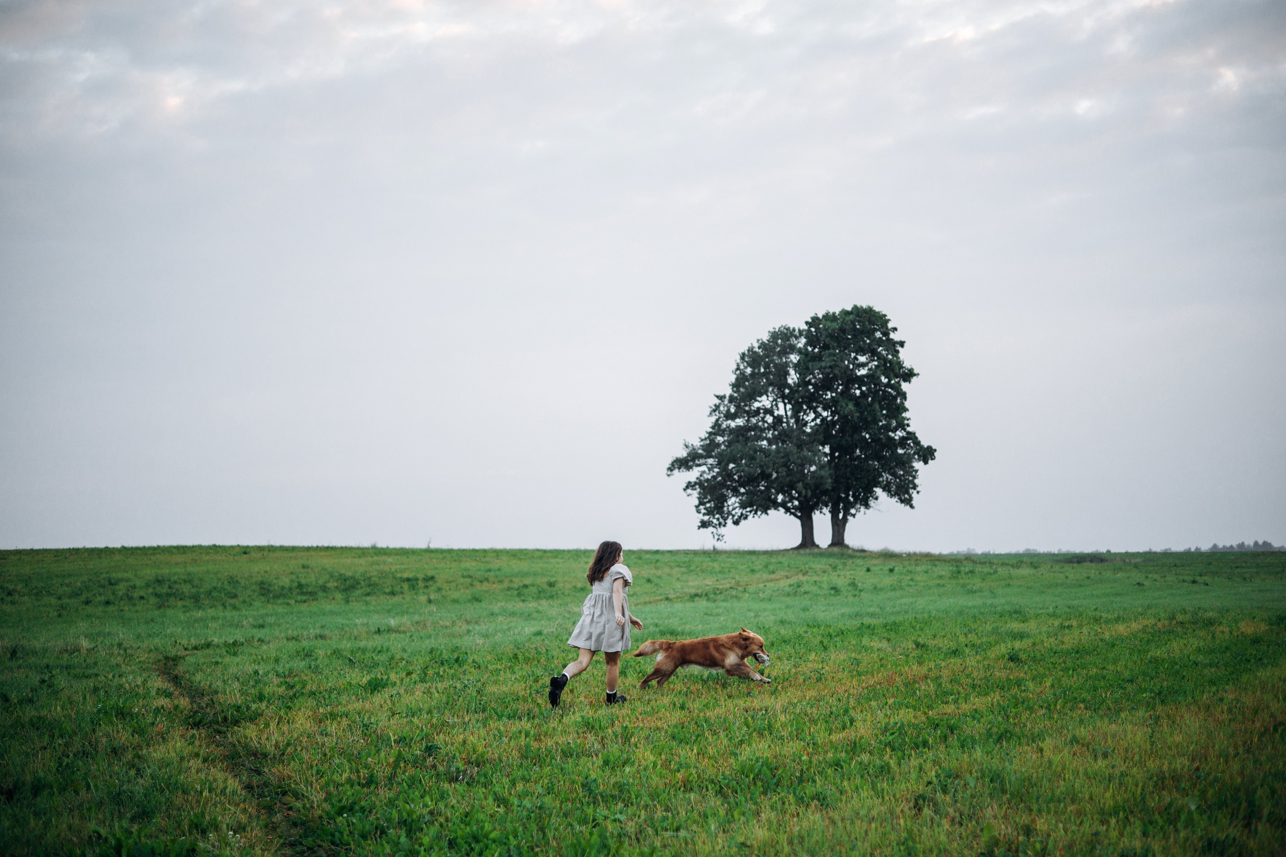 Аня и Ноллан. Фотограф — Анималист | Санкт-Петербург