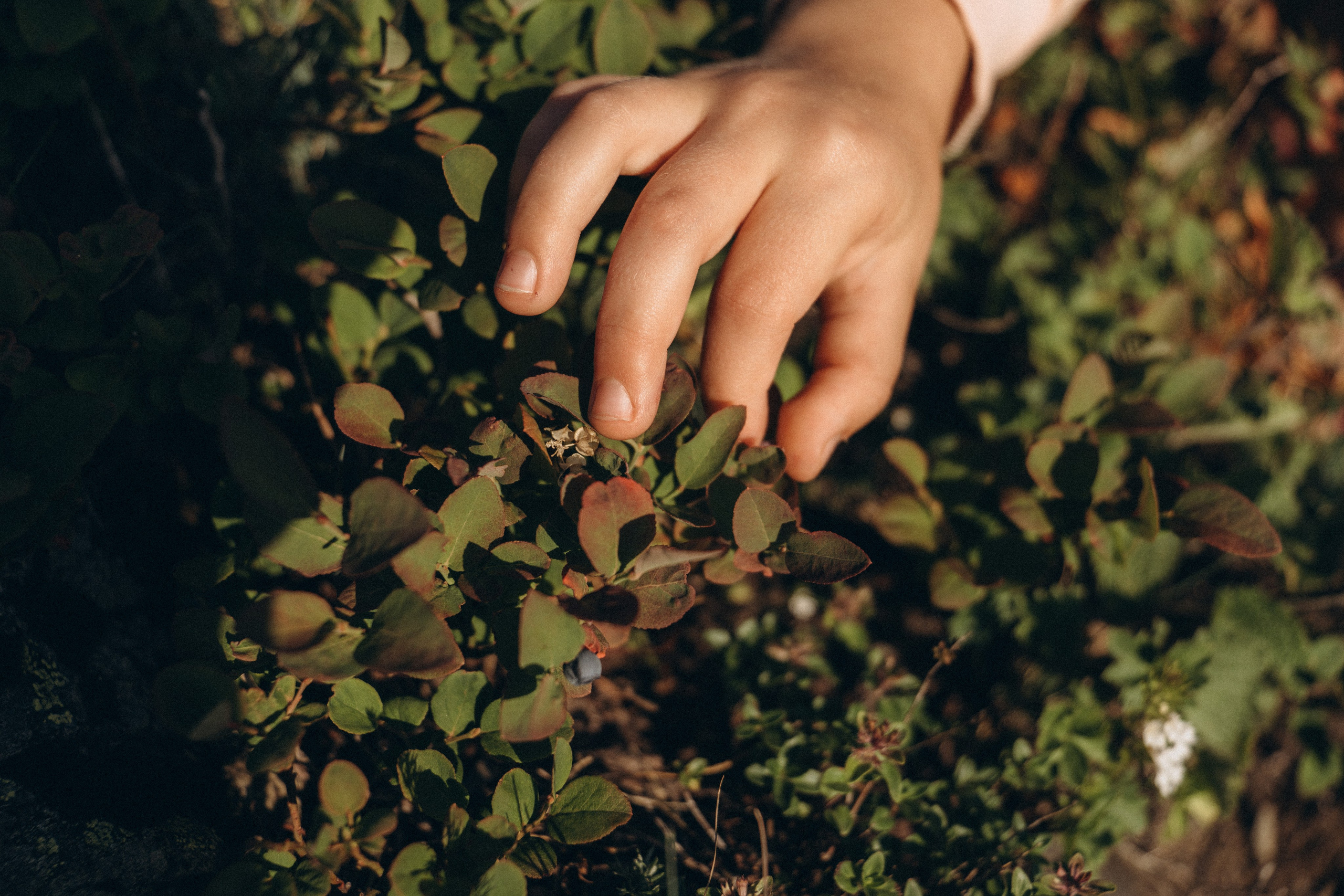 Gregory, Marina & Martina. Olga Antipova — photographer