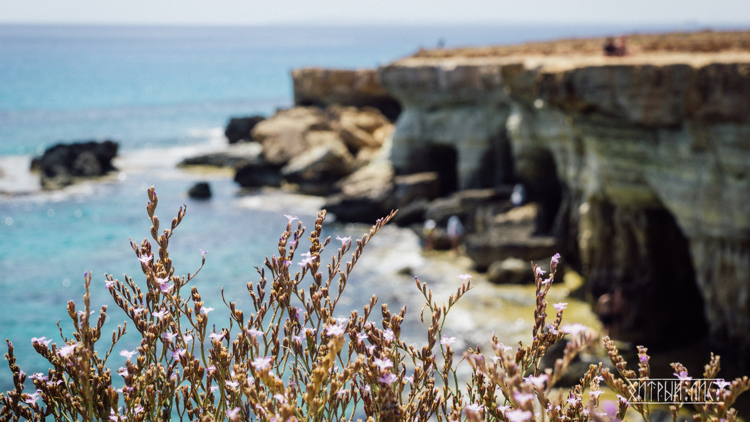 Кипр. Фотограф-путешественник Самойлов Максим «Sly Fox»