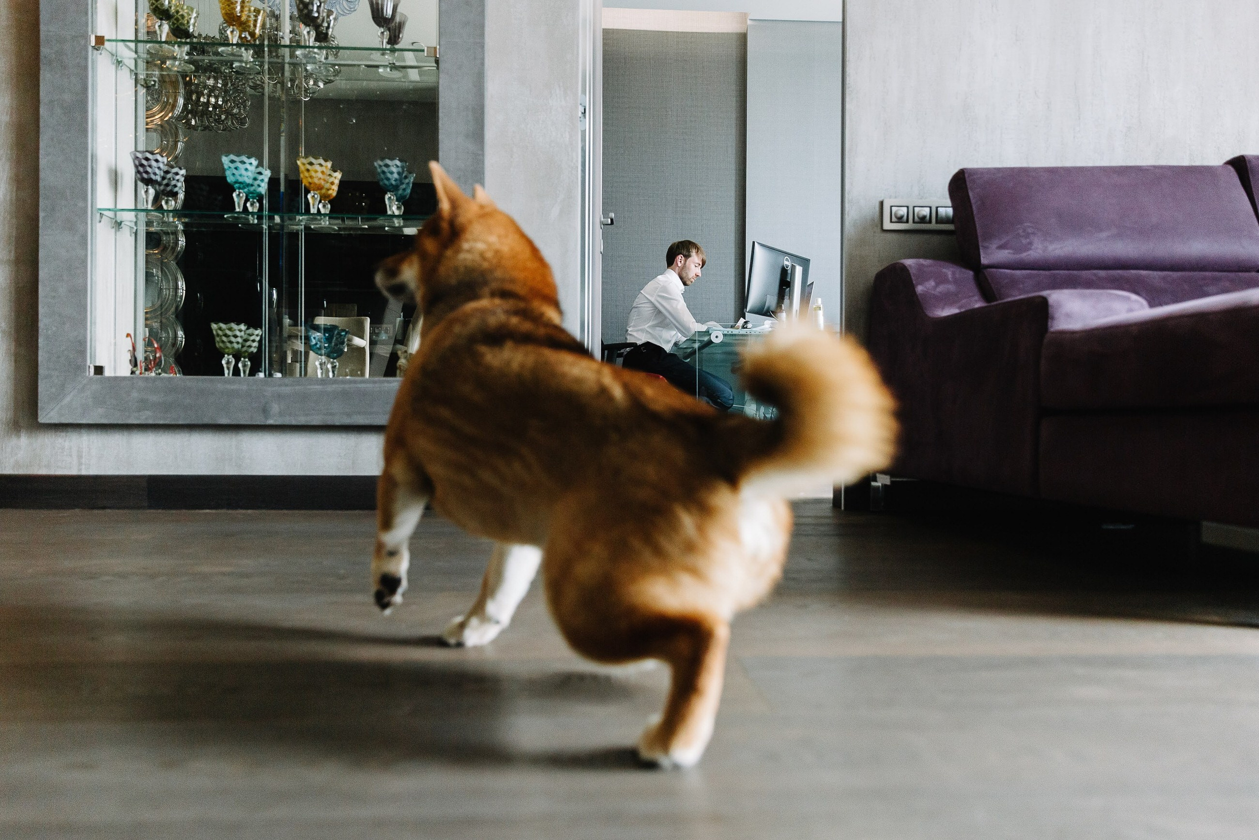 Intro. Свадебный фотограф в Москве Владимир Барабанов