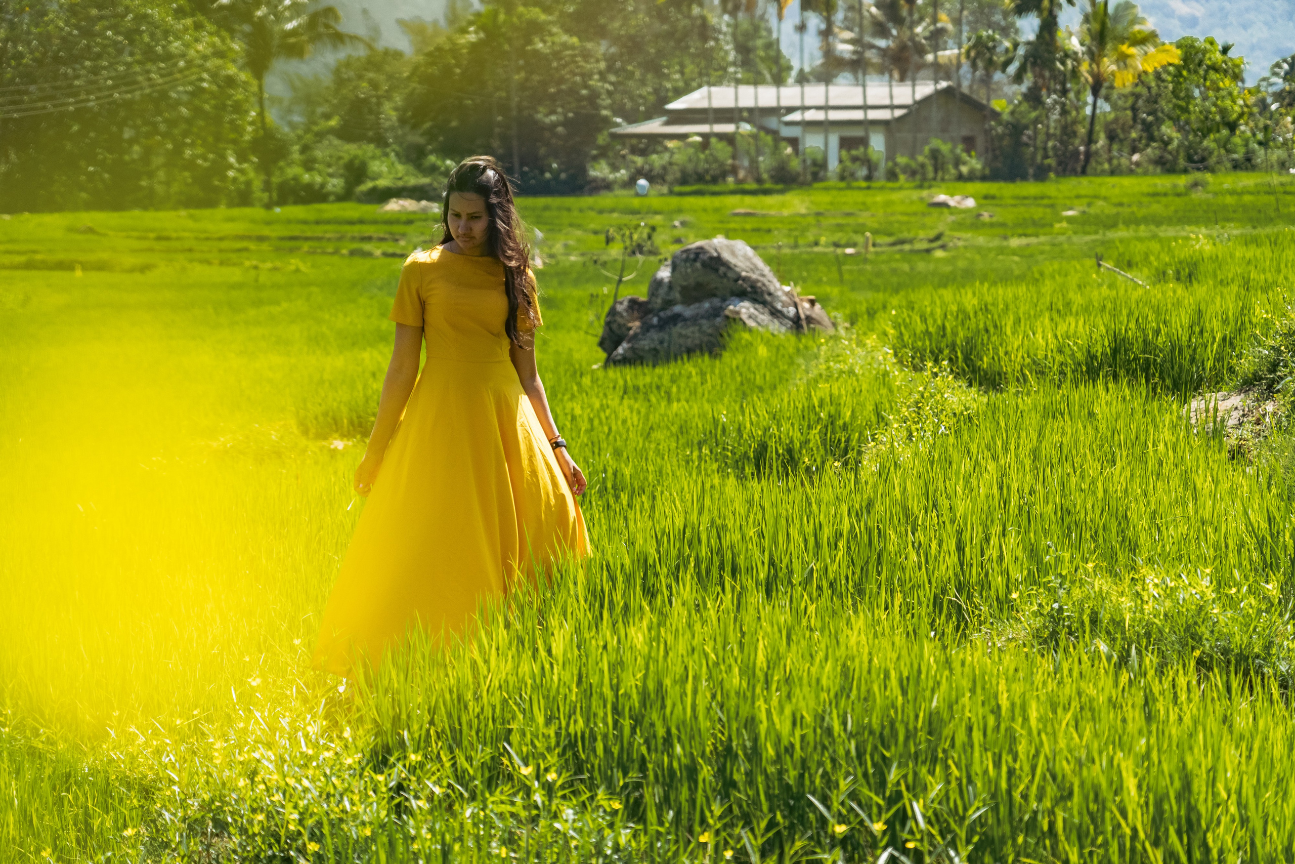 Promo content shooting for Ceylon Forward Tours