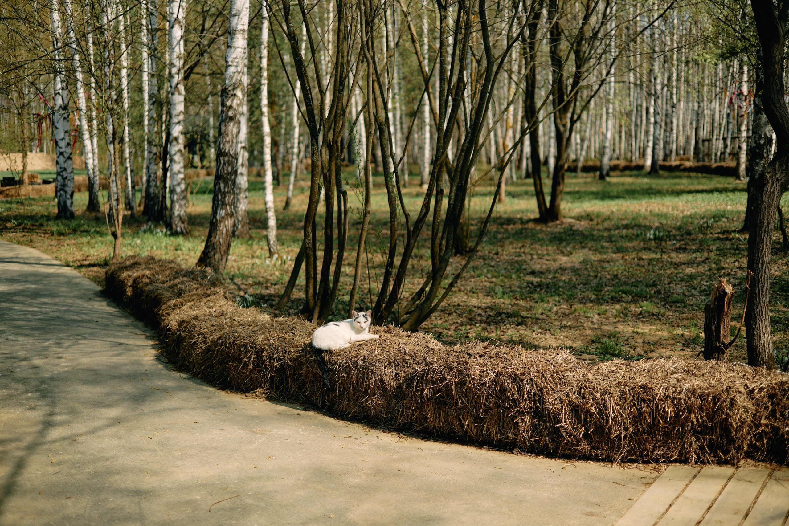 Бутик-отель Поле летом. Профессиональный Фотограф во Владимире, в Москве и в Суздале — Полина Романычева