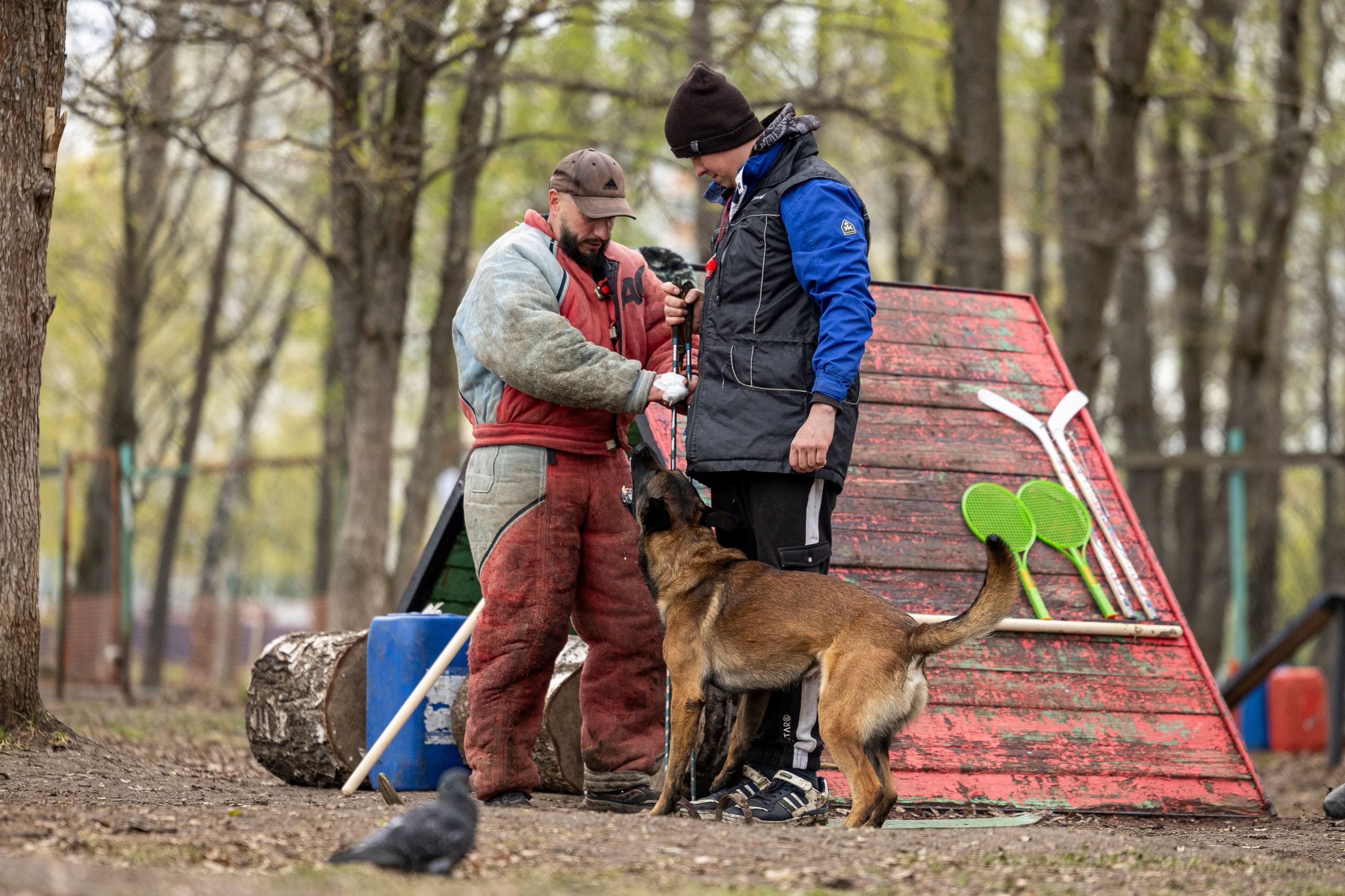 Квалификационные состязания по мондьорингу г. Вологда 11.05.24. Фотограф-анималист Анна Маринич