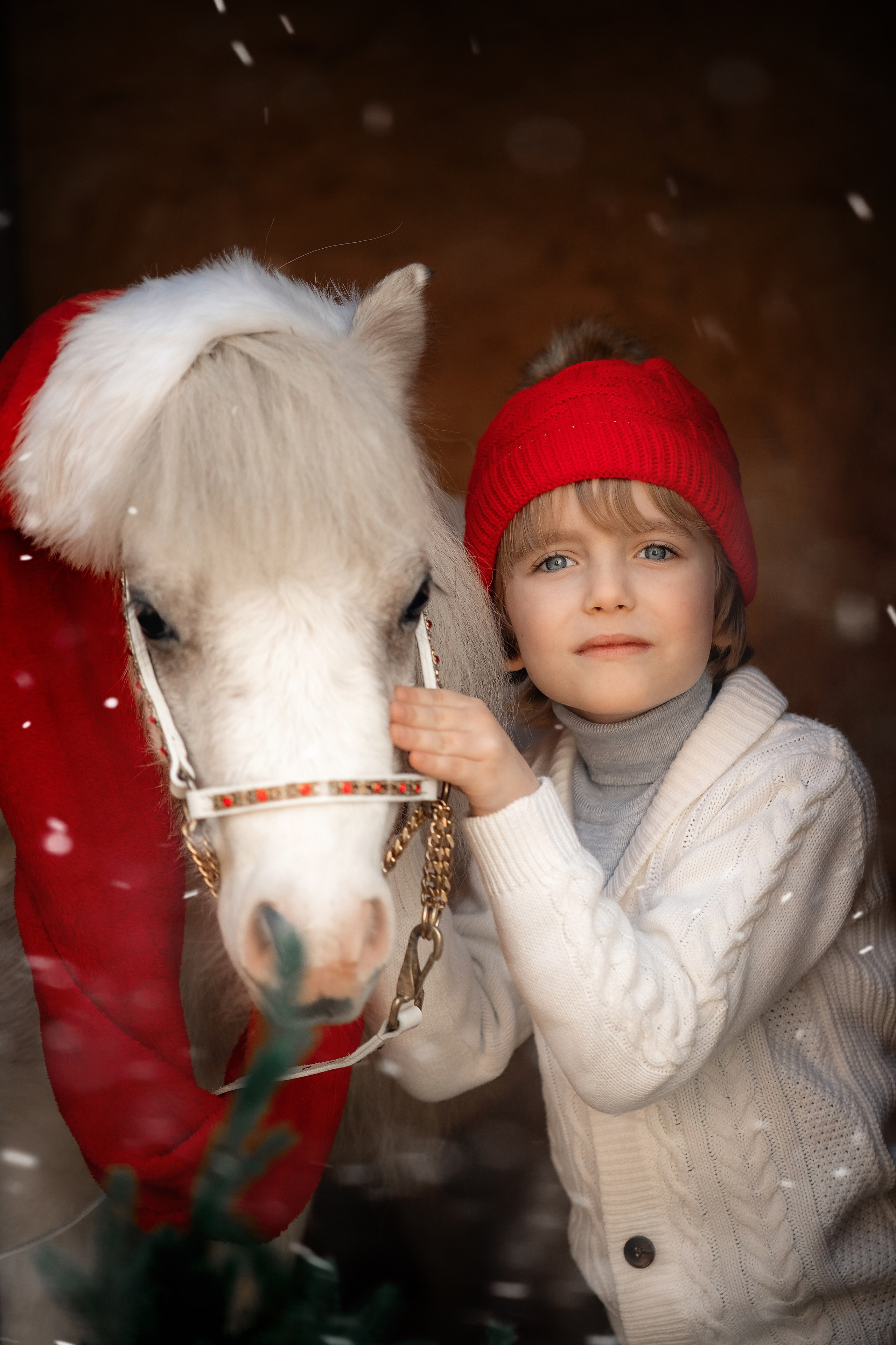 Новогодняя сказка. Художественный фотограф Анапа Александра Долбикова