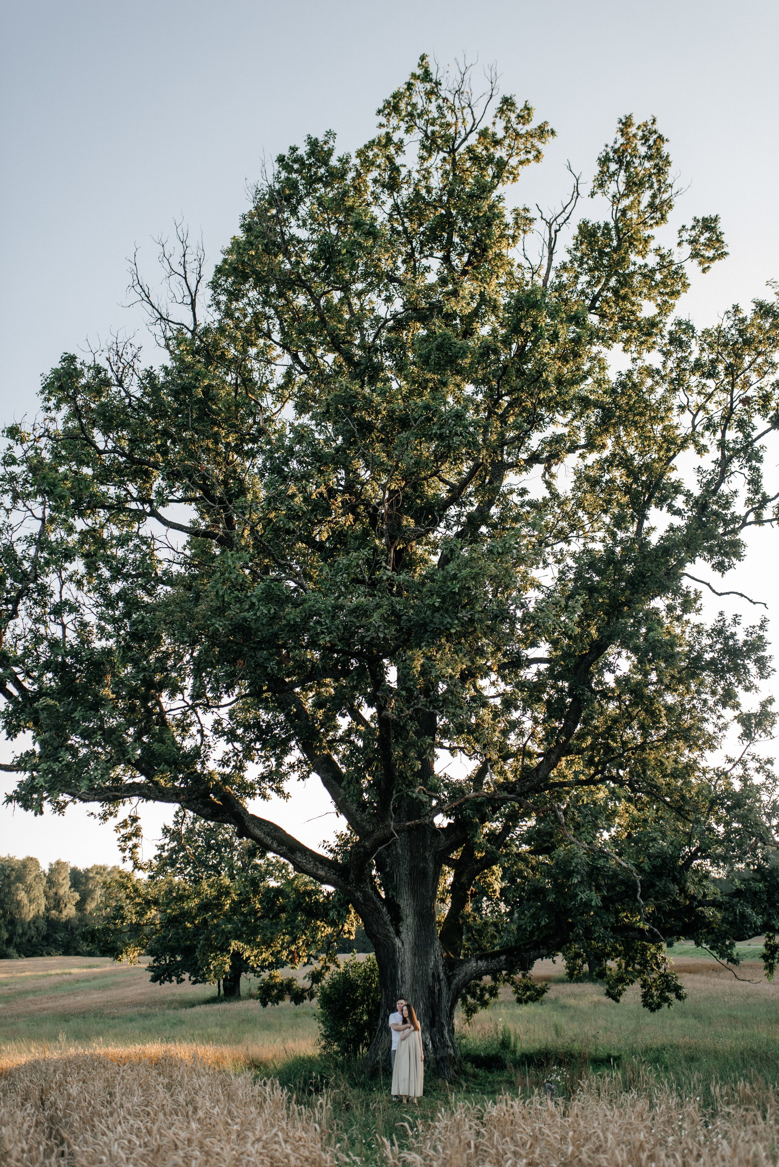 Валя+Виталик. Костюшко Кристина — семейный и свадебный фотограф в Минске