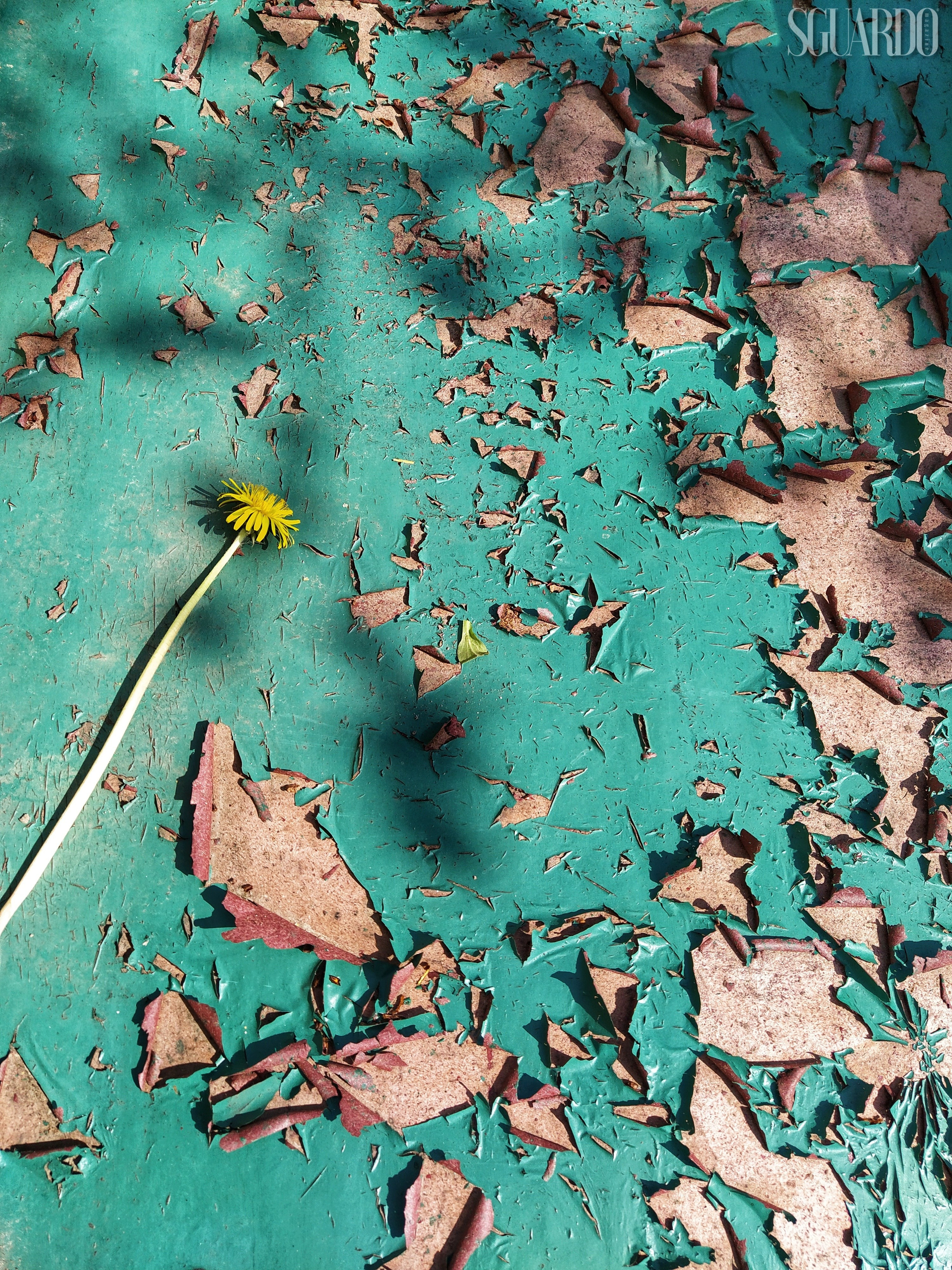 Sguardo. Tatyana Mazok творческий фотограф в Минске
