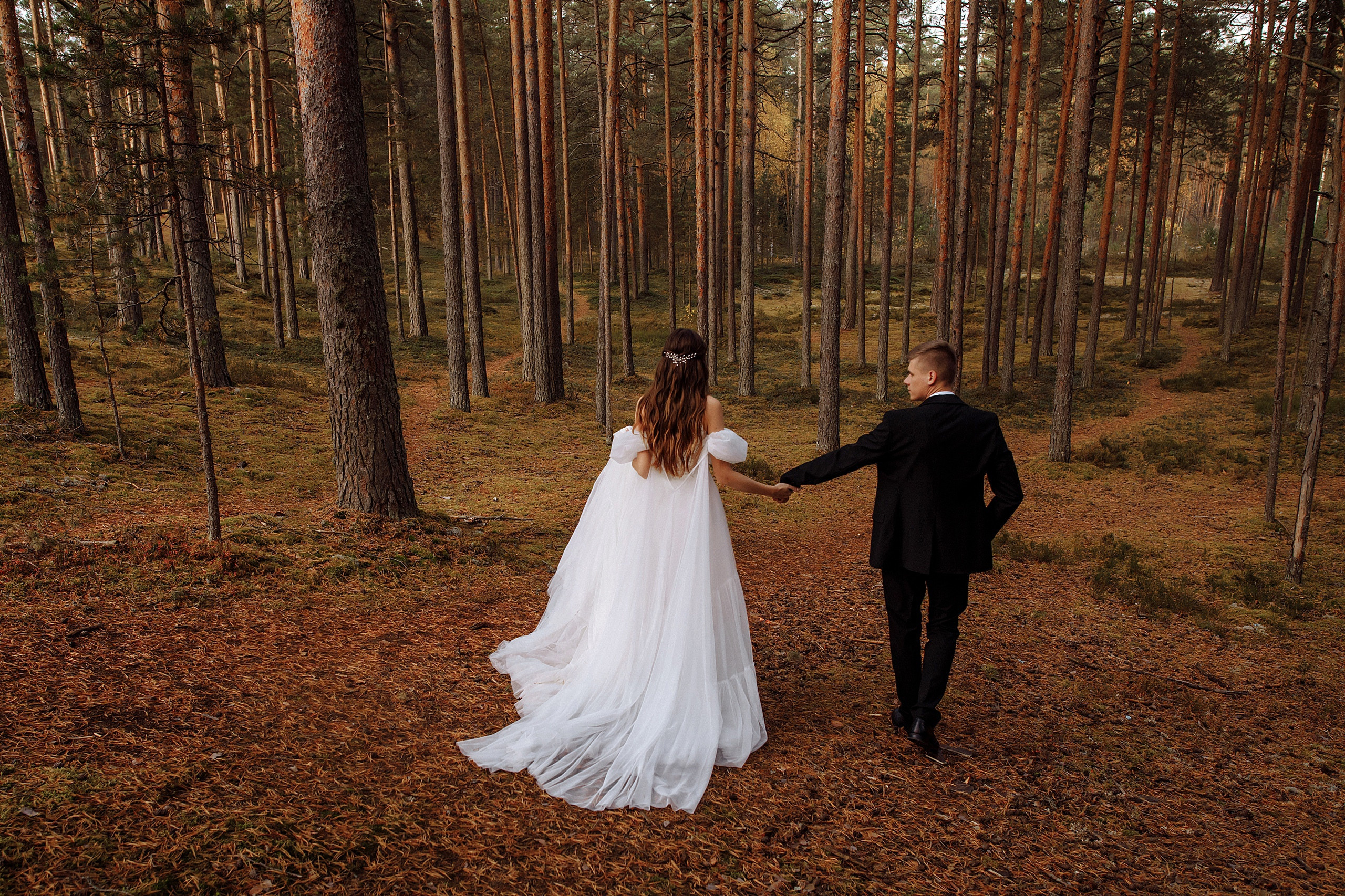 Дорога и лес в сторону Орши. Каплицкая Любовь — фотограф Тверь