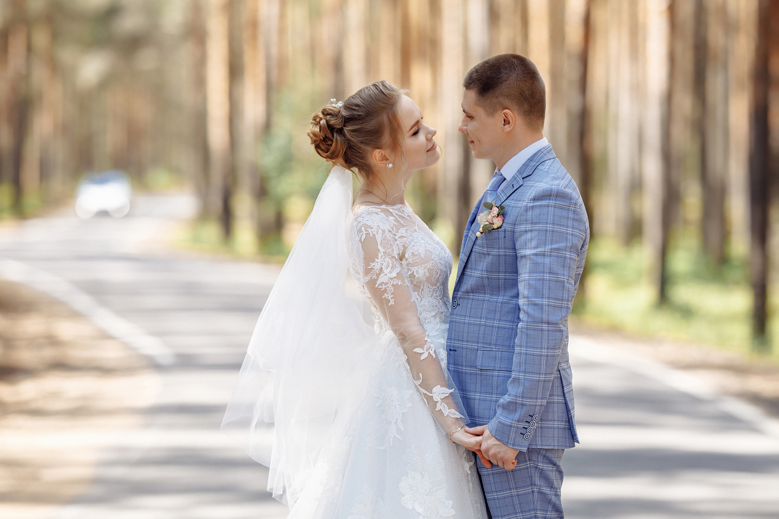 Дорога и лес в сторону Орши. Каплицкая Любовь — фотограф Тверь