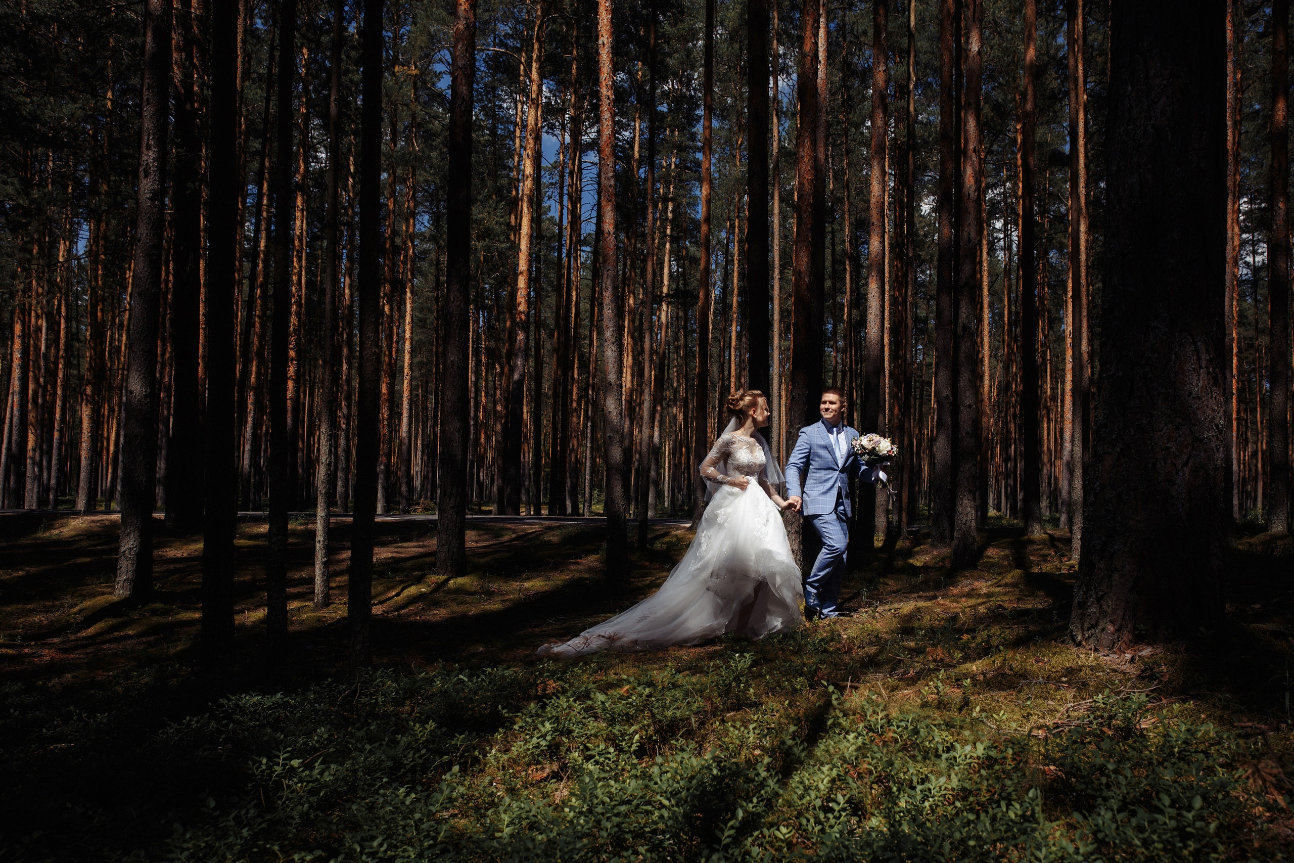 Дорога и лес в сторону Орши. Каплицкая Любовь — фотограф Тверь